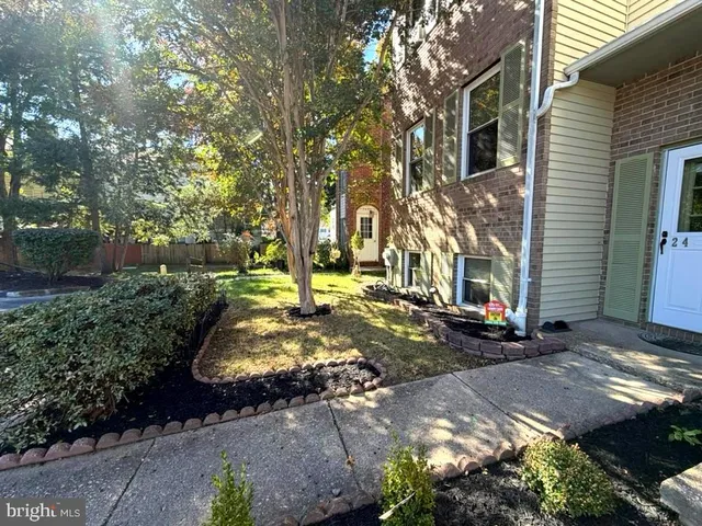a view of a street with large trees