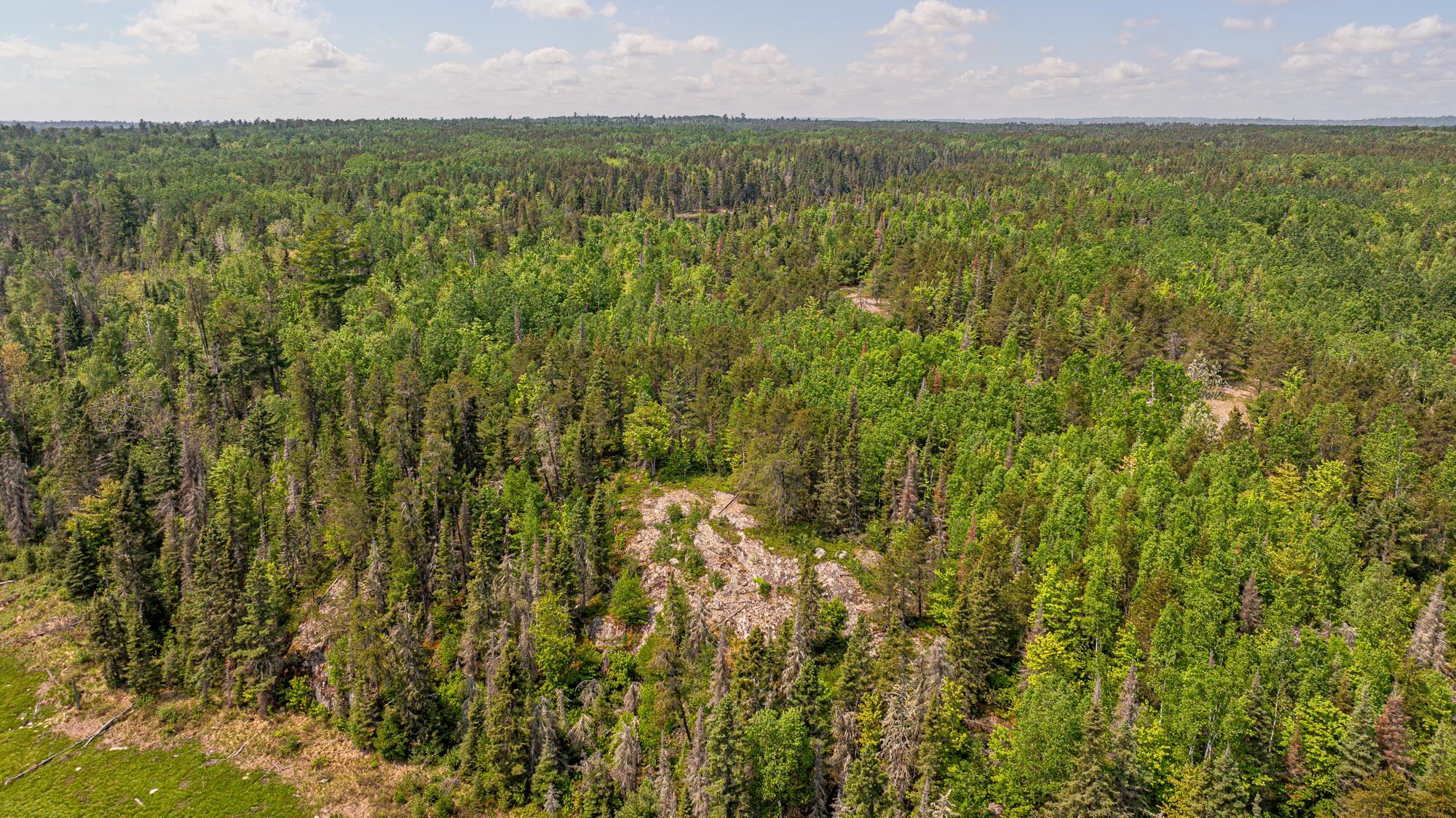 1736 North Grassy Road Ely, MN 55731 - Photo 30 of 47