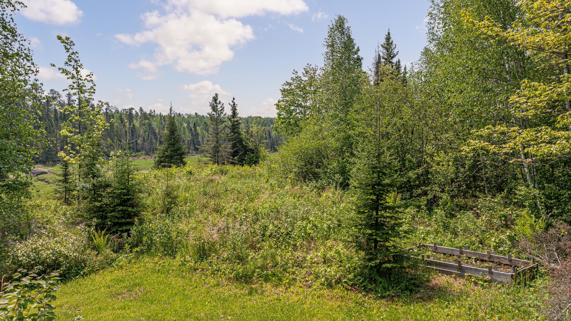 1736 North Grassy Road Ely, MN 55731 - Photo 40 of 47