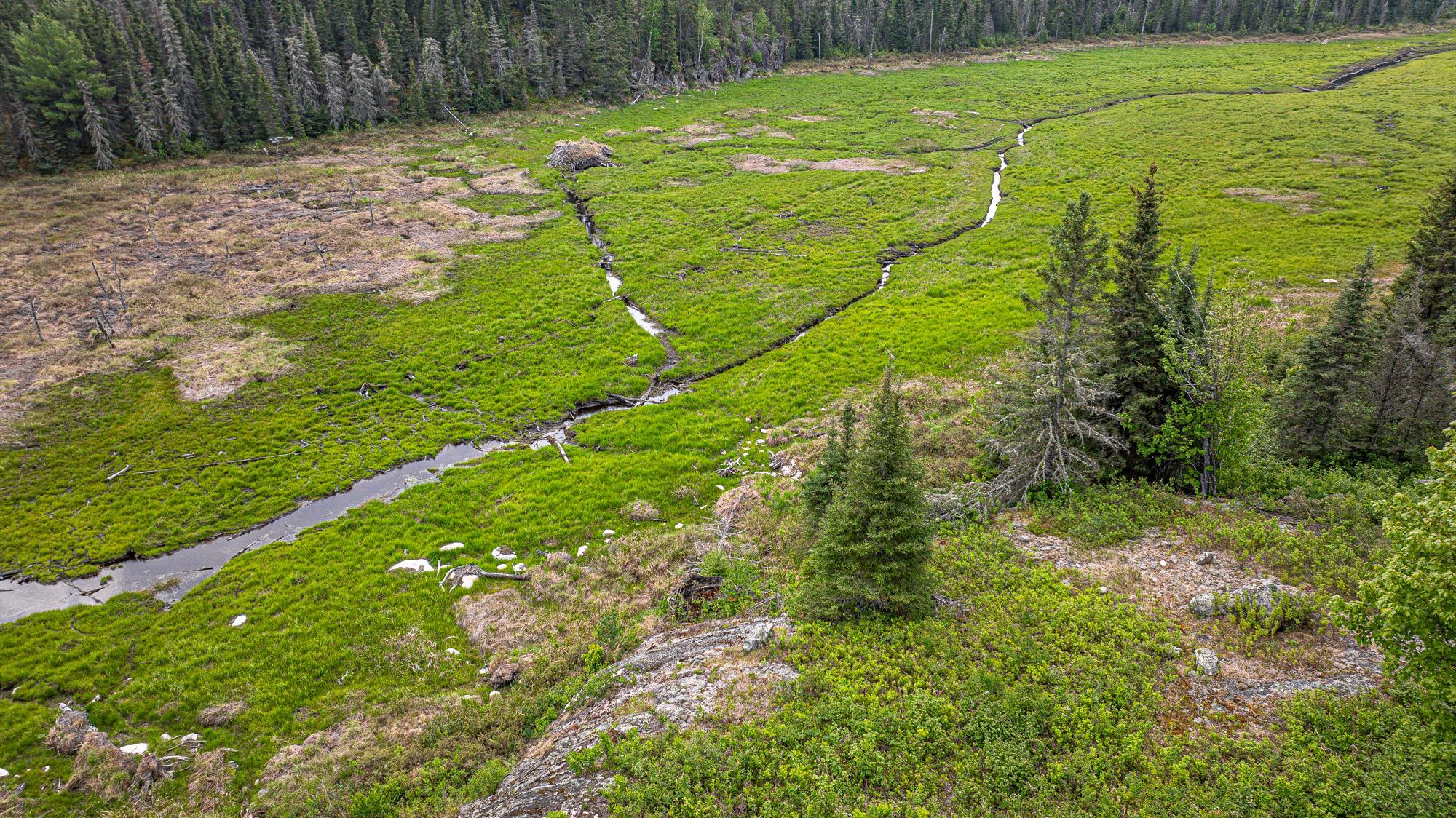 1736 North Grassy Road Ely, MN 55731 - Photo 41 of 47