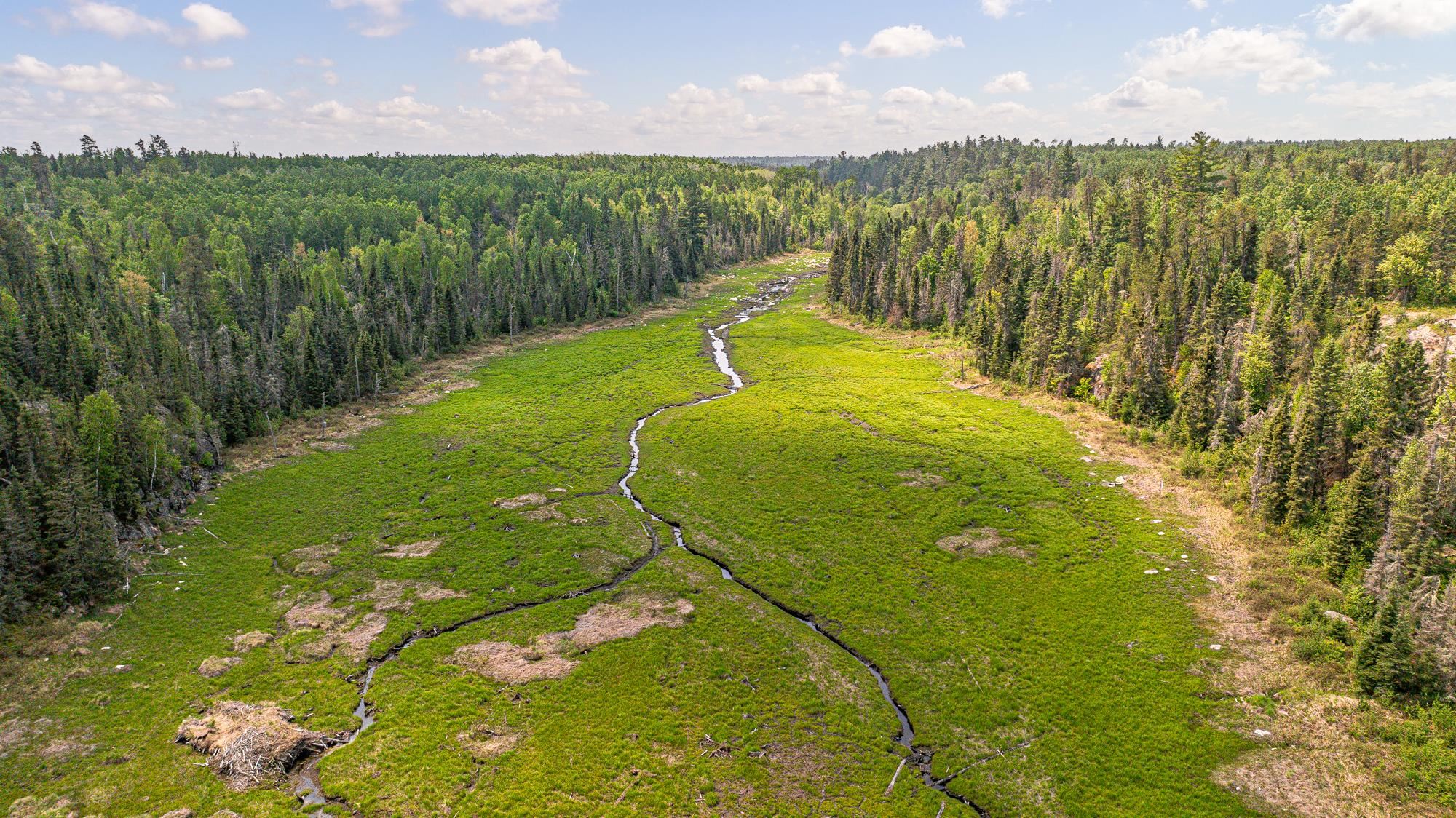 1736 North Grassy Road Ely, MN 55731 - Photo 42 of 47