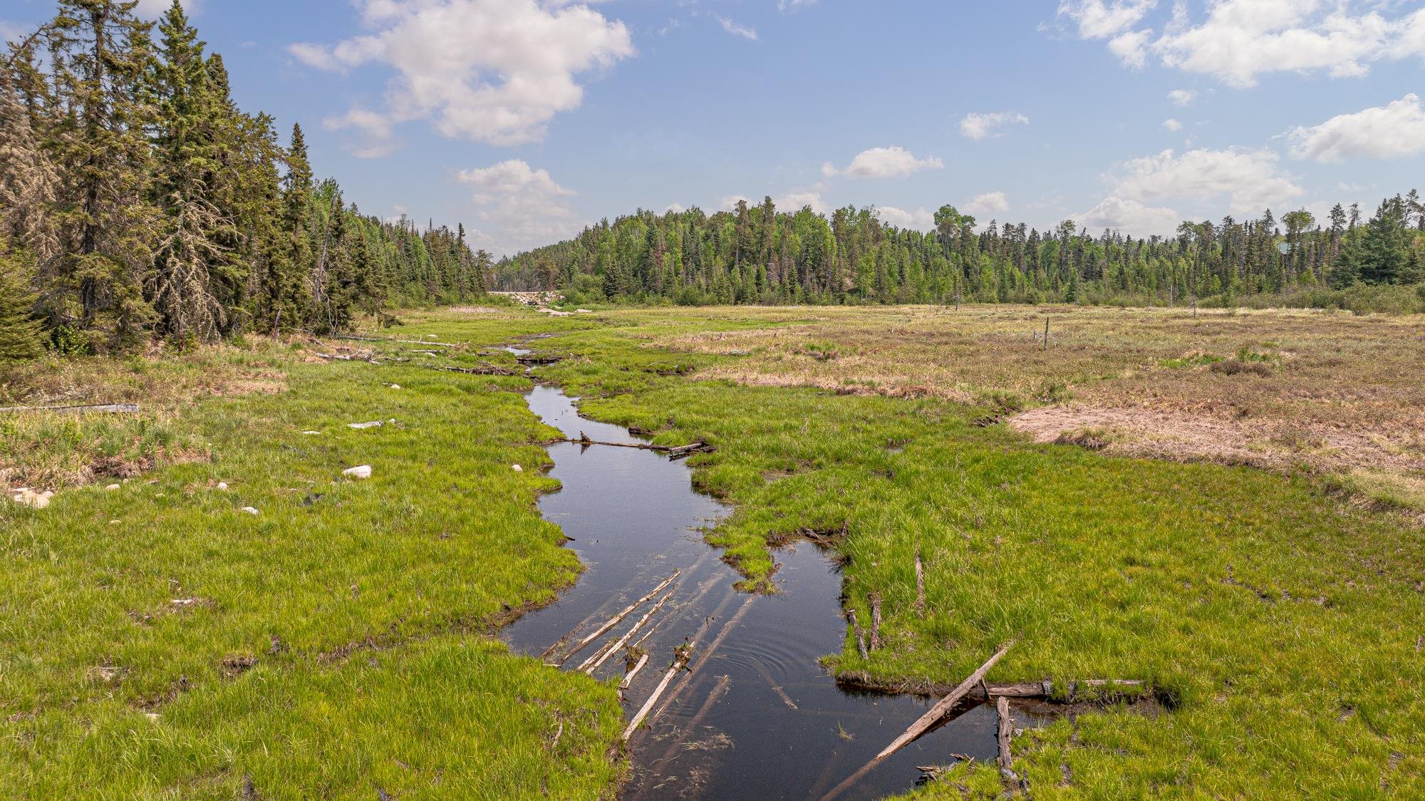 1736 North Grassy Road Ely, MN 55731 - Photo 45 of 47