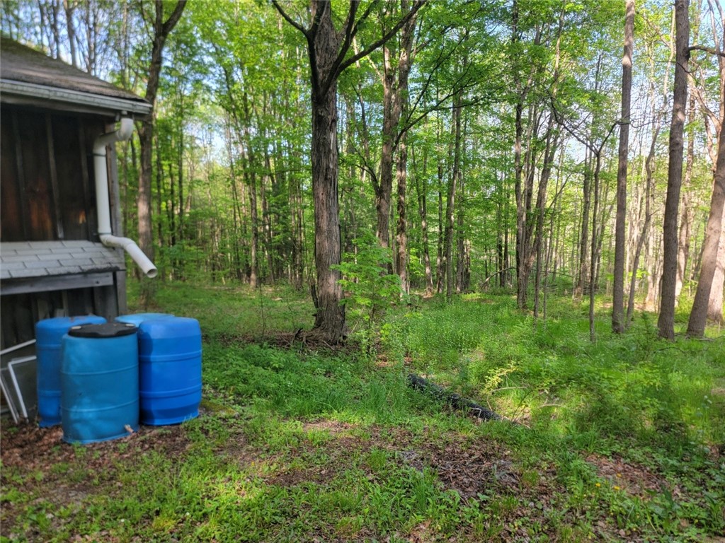 231 Ives Settlement Road Guilford, NY 13733 - Photo 4 of 39