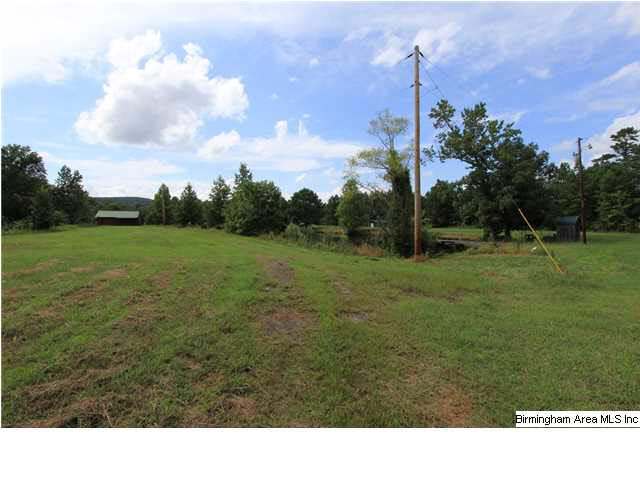 749 Dove Welch Road Wellington, AL 36279 - Photo 30 of 32