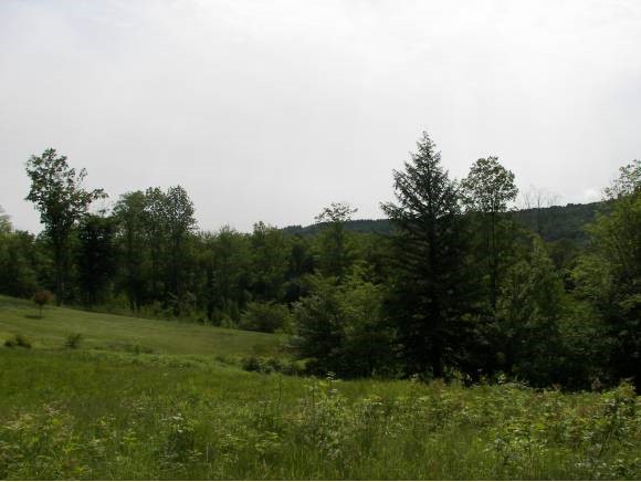 Lot 2 Ruddy Duck Lane Quechee, VT 05059 - Photo 1 of 7 Gallery Image 1