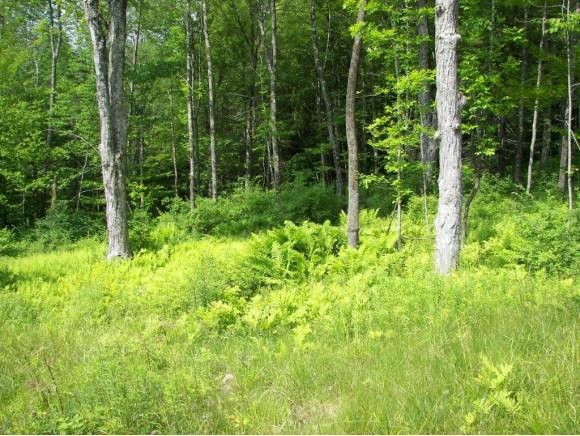 Lot 2 Ruddy Duck Lane Quechee, VT 05059 - Photo 2 of 7 Gallery Image 2