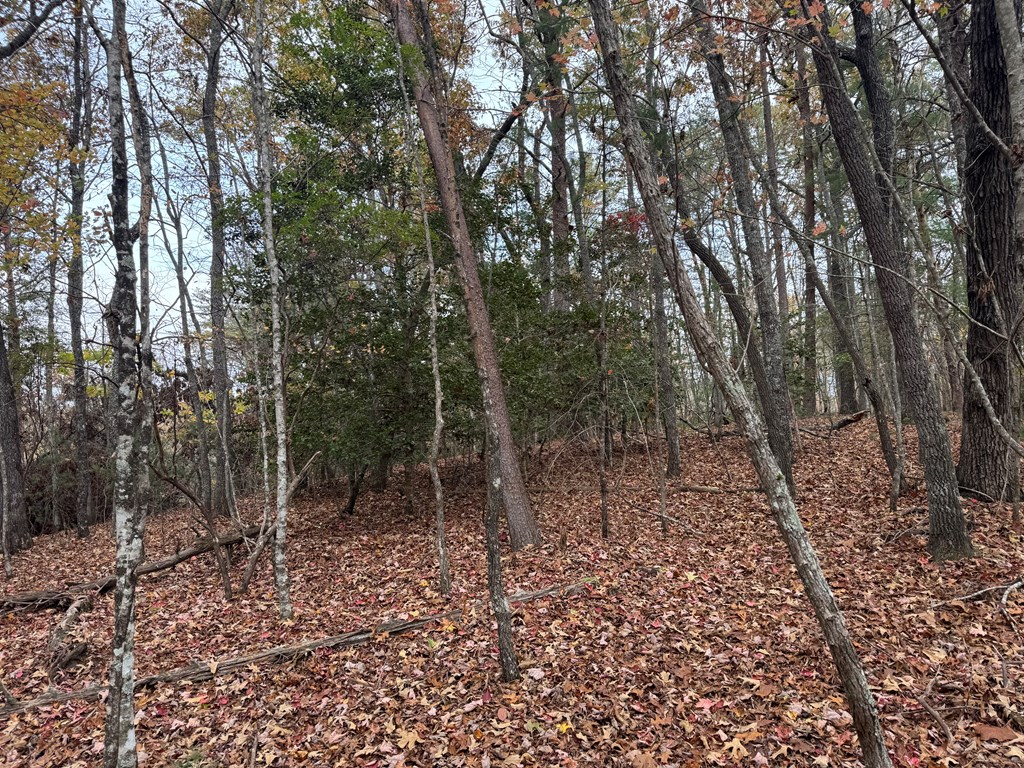 9 Paradise Park Road Murphy, NC 28906 - Photo 15 of 17 Gallery Image 15