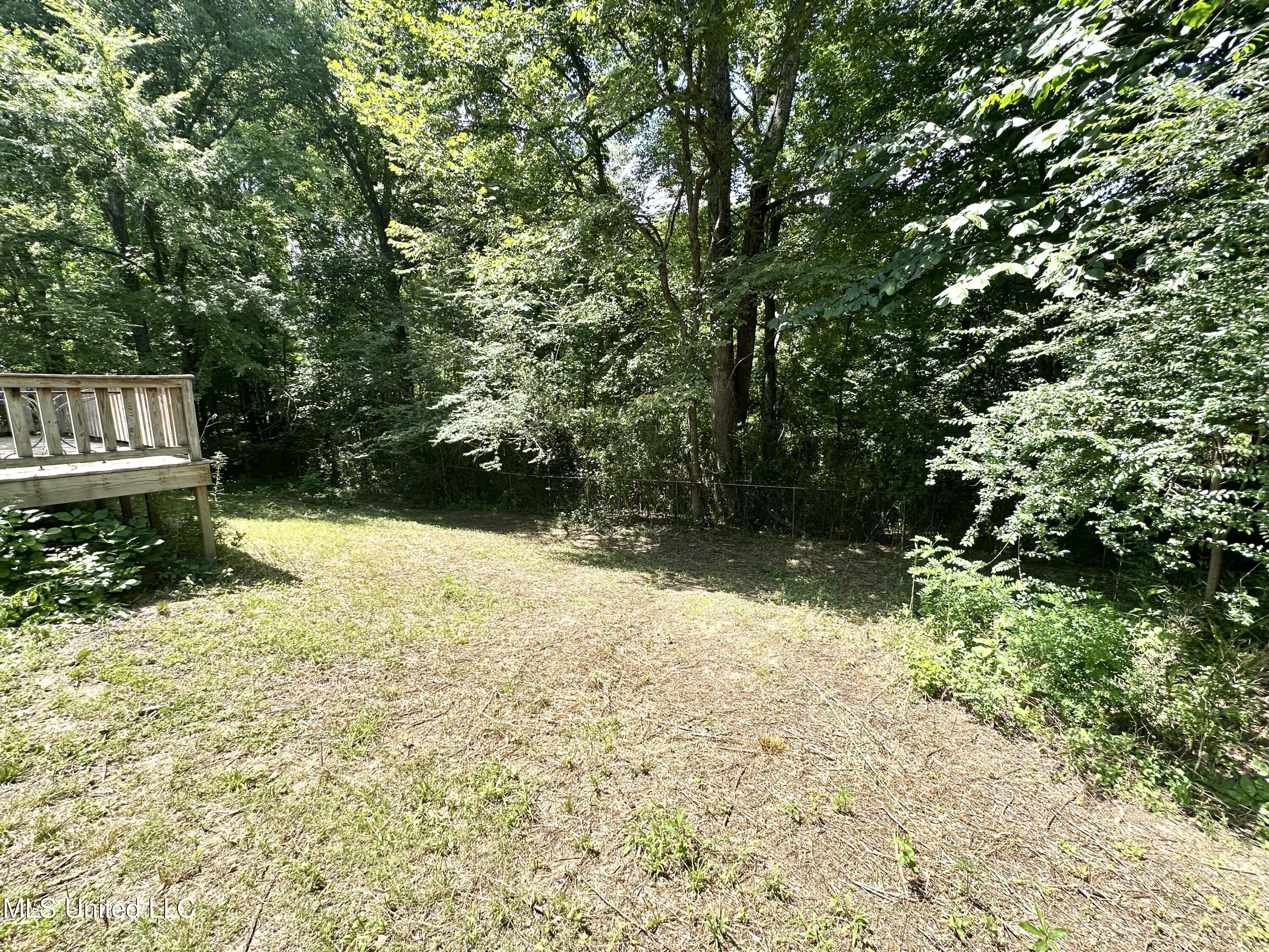 4292 Starlanding Road East Southaven, MS 38672 - Photo 22 of 23 IMG_3218