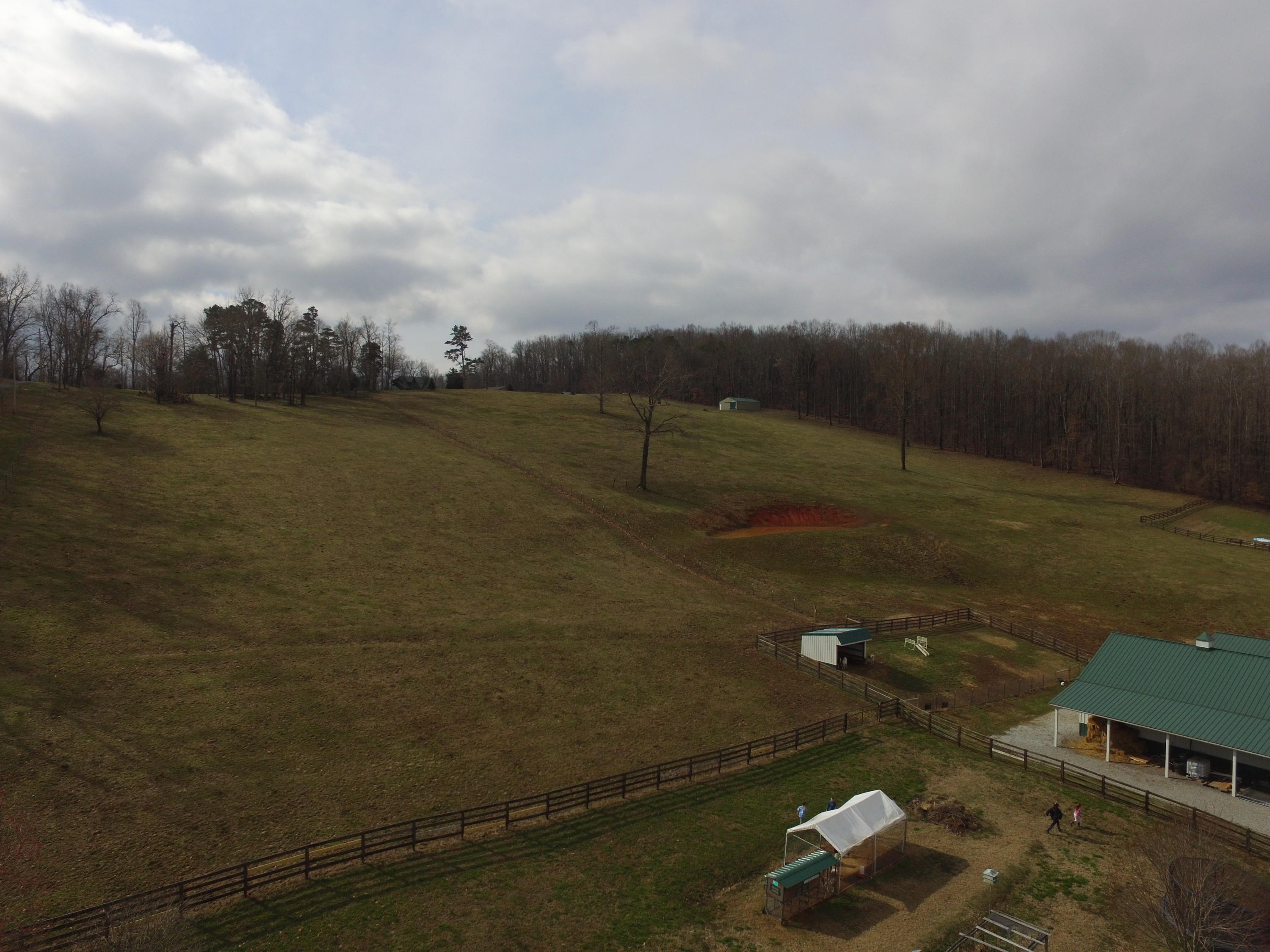 744 Alvin Roach Road Rutledge, TN 37861 - Photo 4 of 40 00003