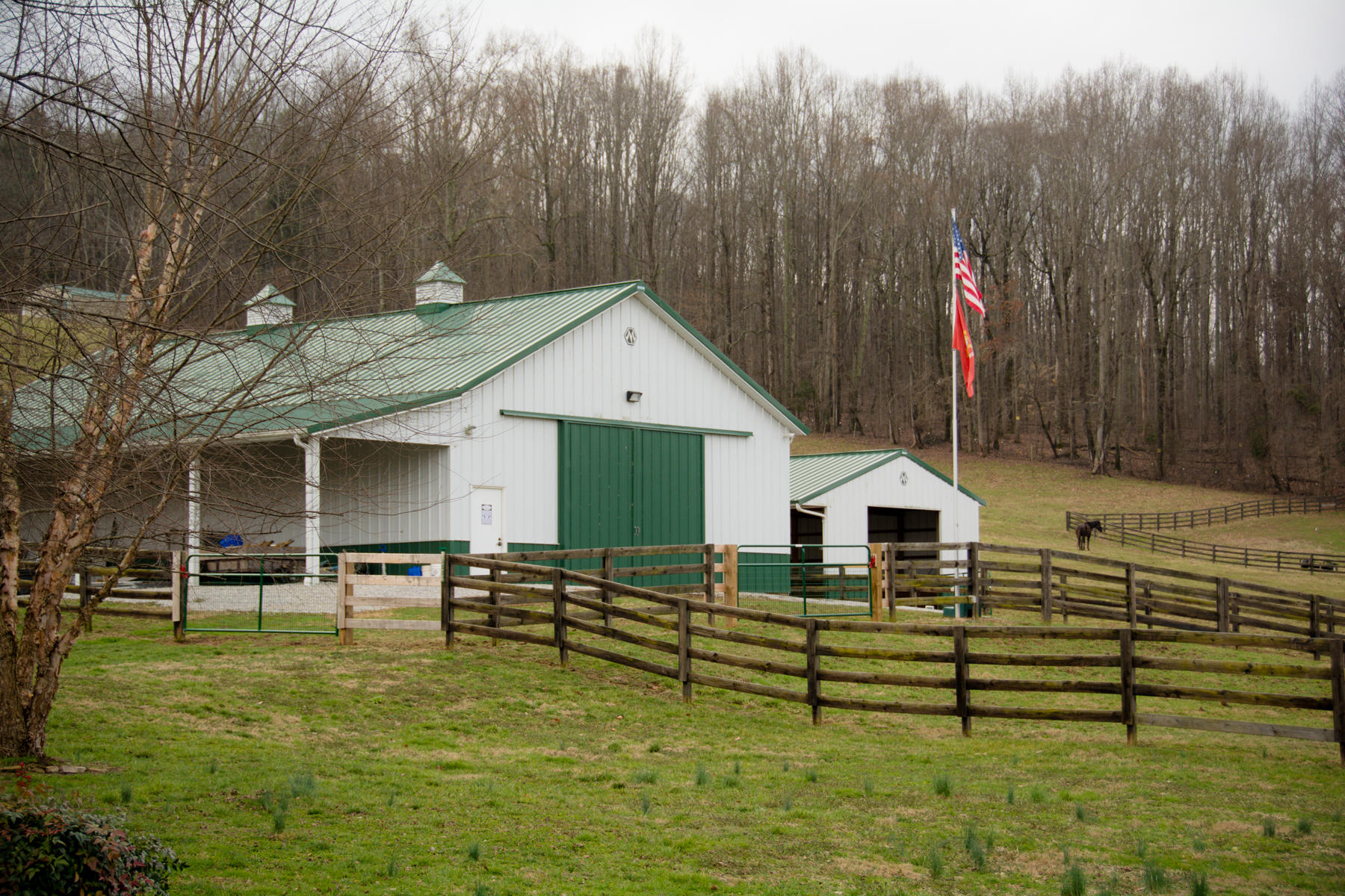 744 Alvin Roach Road Rutledge, TN 37861 - Photo 33 of 40 DSC_2880