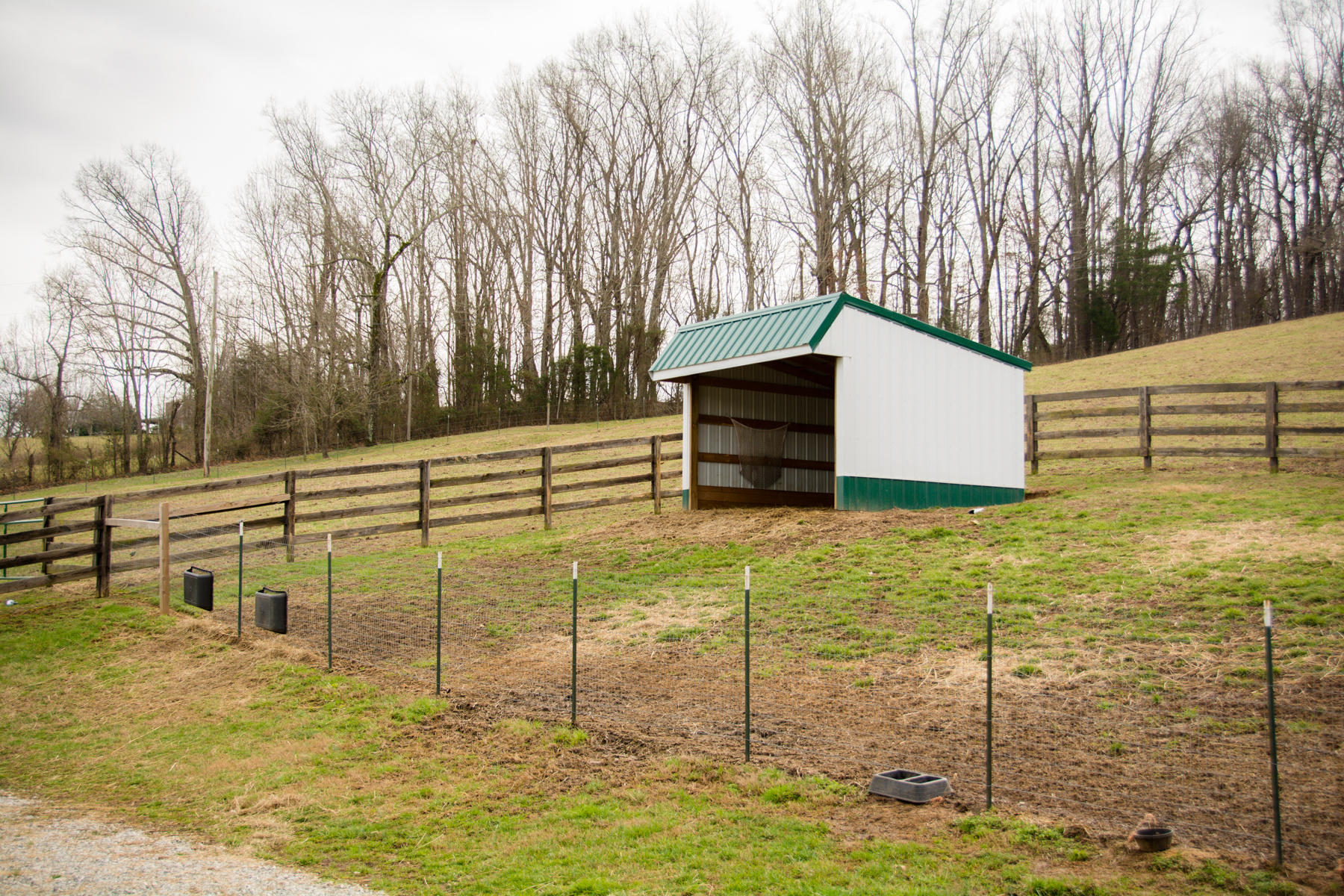 744 Alvin Roach Road Rutledge, TN 37861 - Photo 36 of 40 DSC_2886