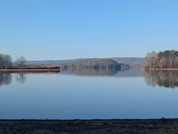 $300,000 | 0 Lakewood Village Road, Spring City, TN 37381