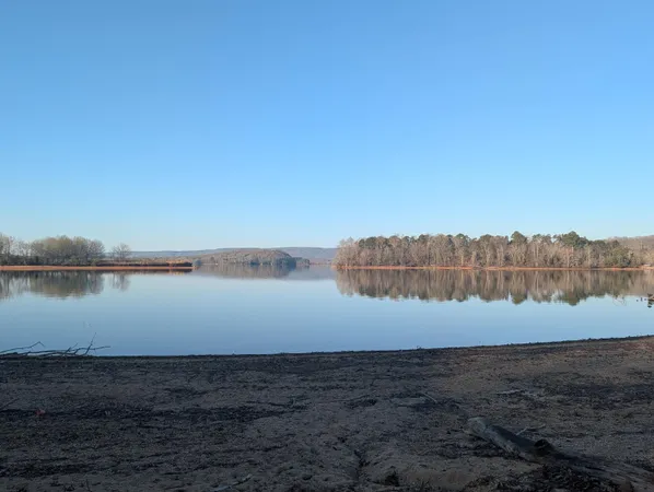 $300,000 | 0 Lakewood Village Road, Spring City, TN 37381