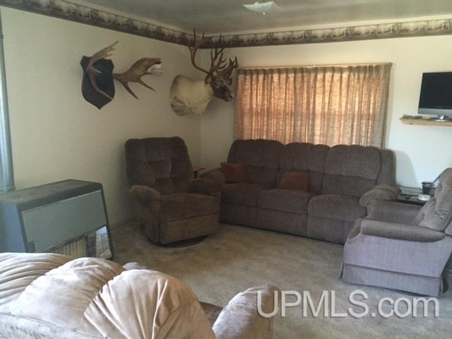 Tbd Tbd Off Co Road Ishpeming, MI 49849 - Photo 4 of 17
