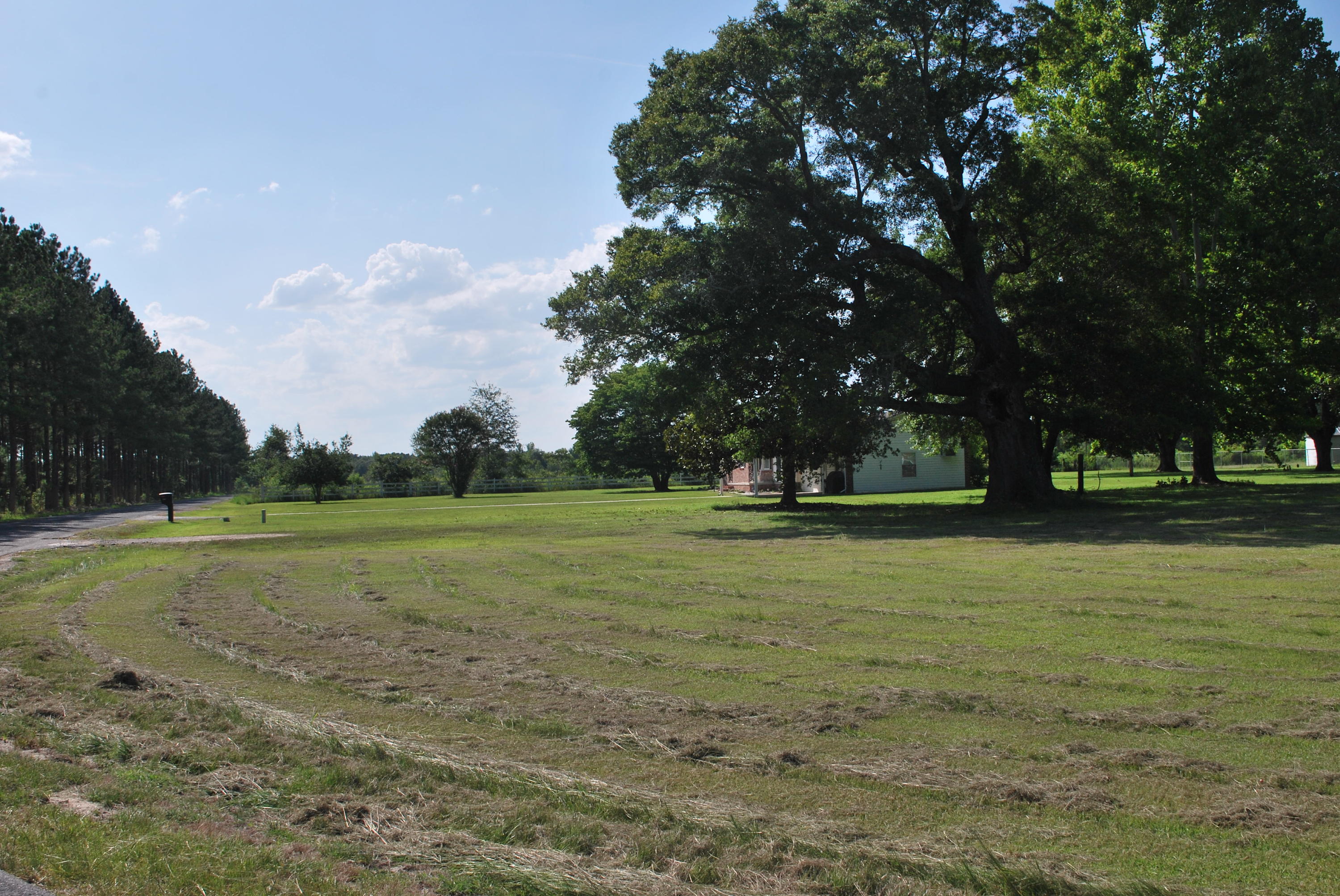 1293 Thompson Road Bennettsville, SC 29512 - Photo 5 of 20 DSC_0960