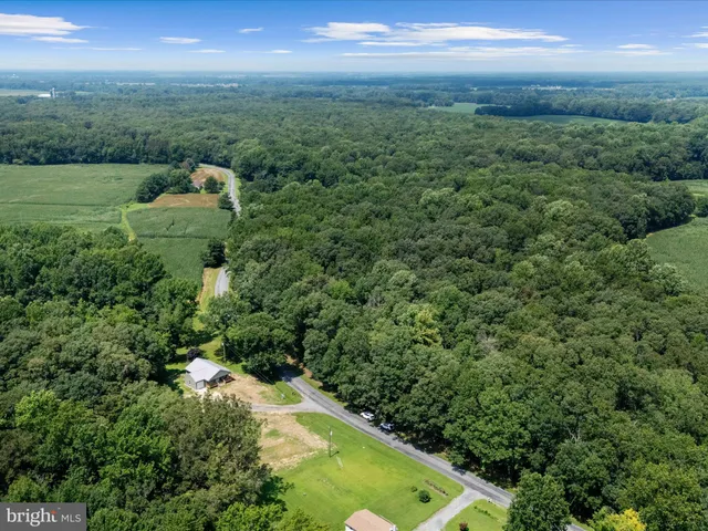 a view of a city with lush green forest
