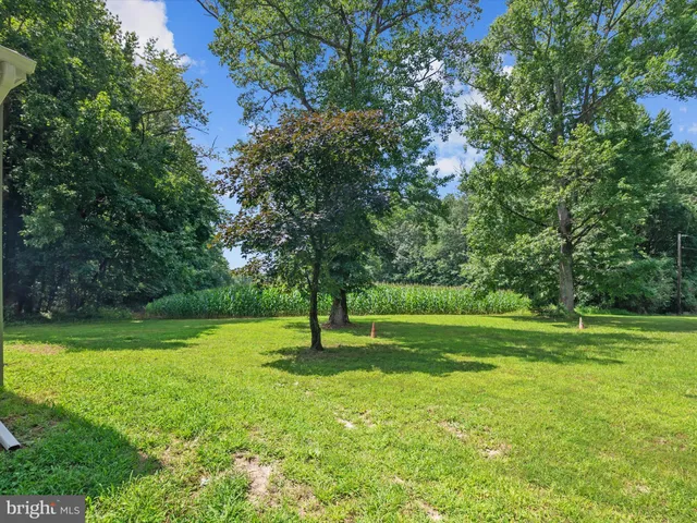 a view of field with trees in the background