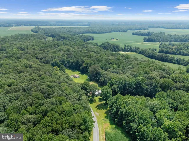 a view of a yard with an outdoor space
