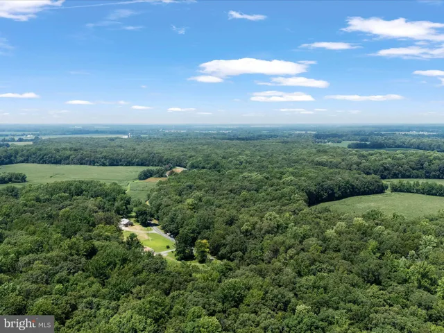 a view of a green field with lots of bushes