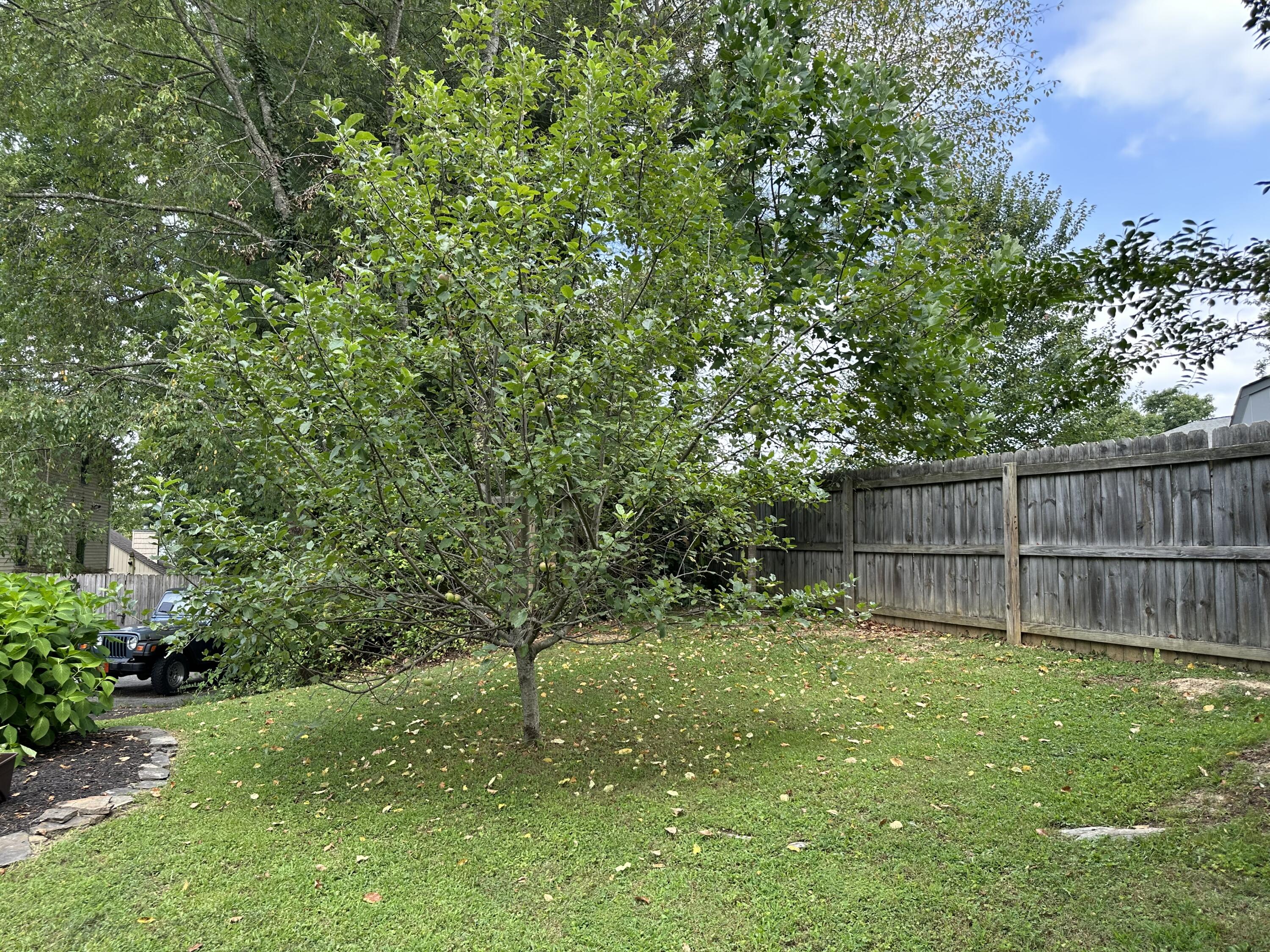 6 Reston Court Johnson City, TN 37601 - Photo 11 of 142 11