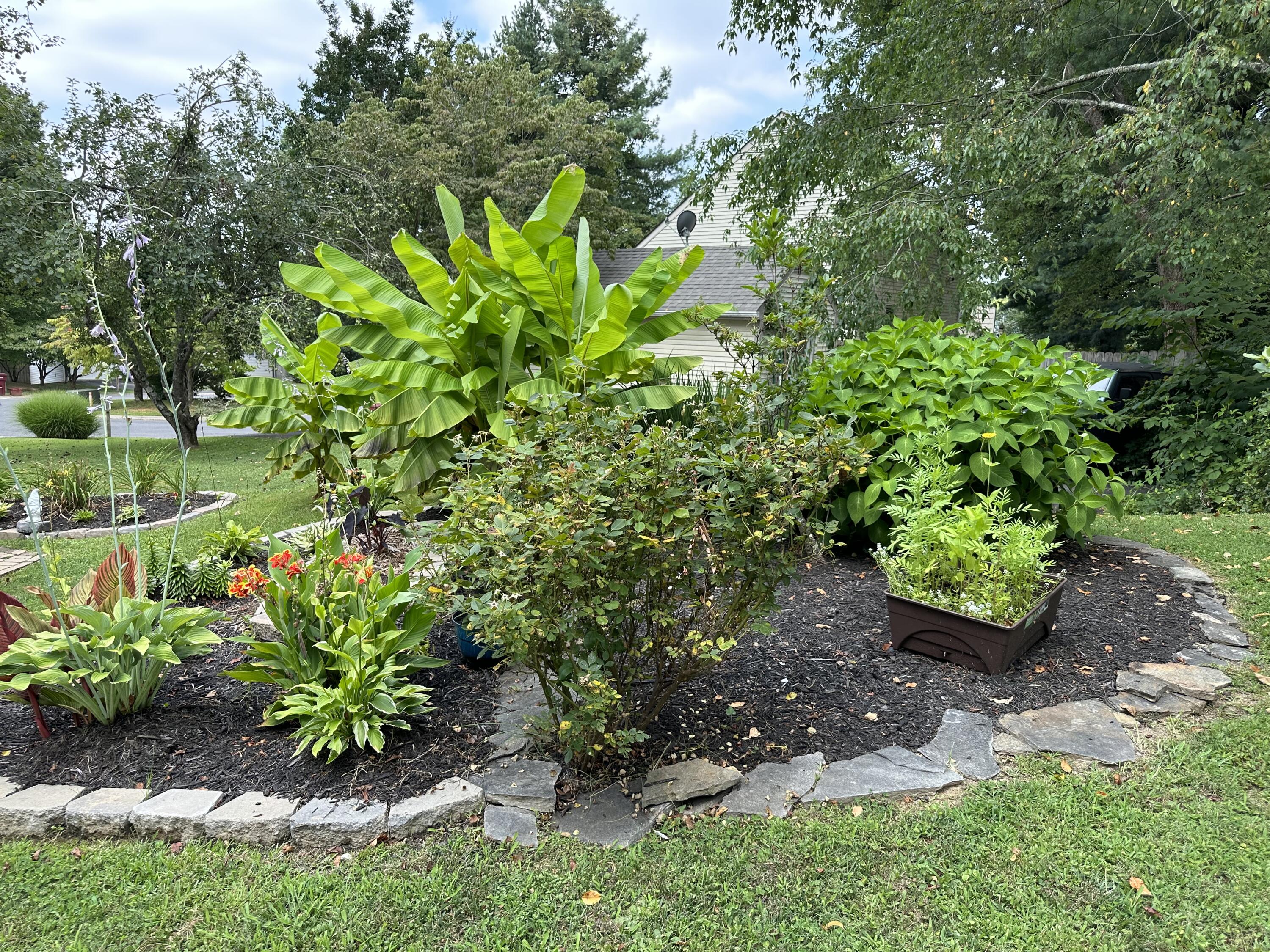 6 Reston Court Johnson City, TN 37601 - Photo 13 of 142 13