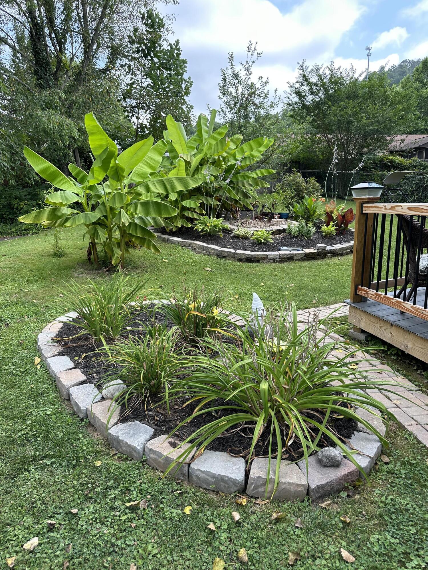 6 Reston Court Johnson City, TN 37601 - Photo 15 of 142 15