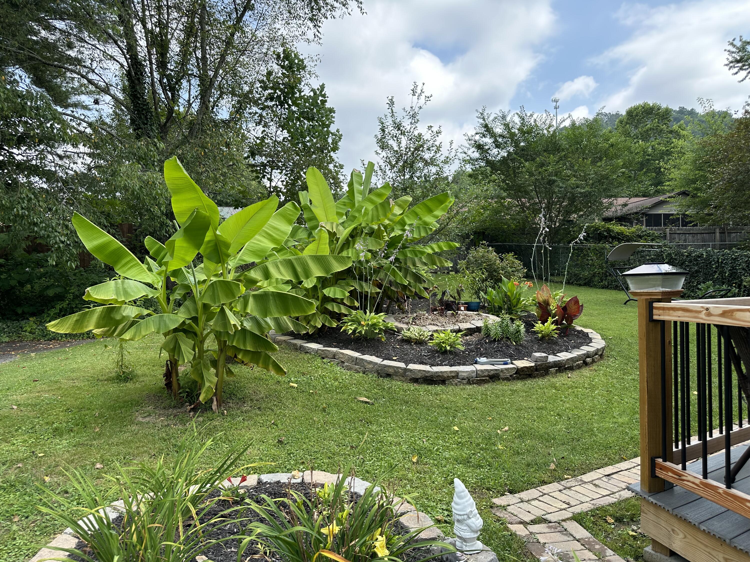 6 Reston Court Johnson City, TN 37601 - Photo 16 of 142 16