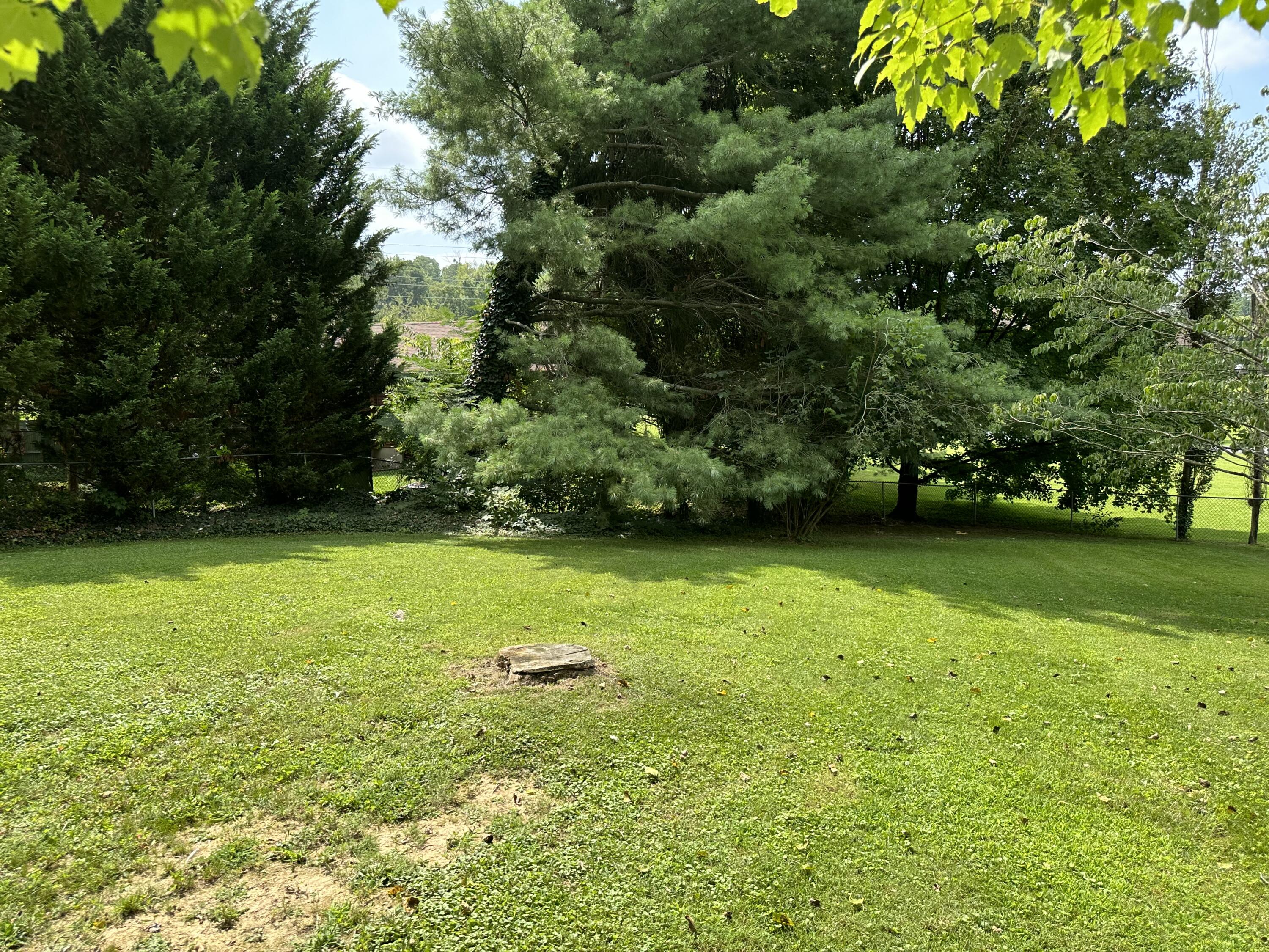 6 Reston Court Johnson City, TN 37601 - Photo 10 of 142 10