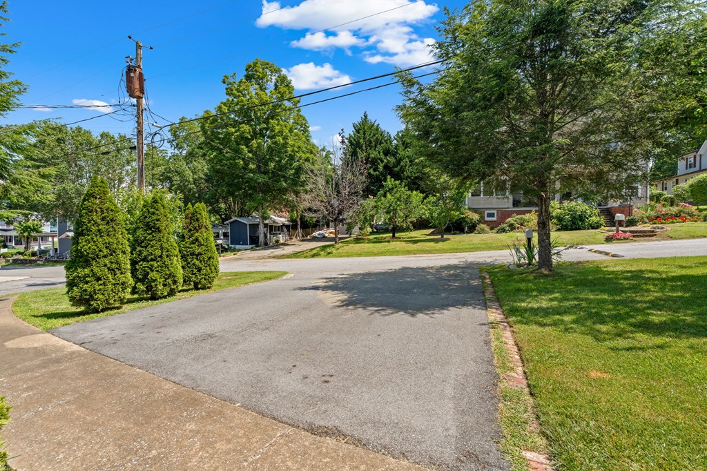46 Dillard Street Murphy, NC 28906 - Photo 43 of 73 a view of a park with large trees