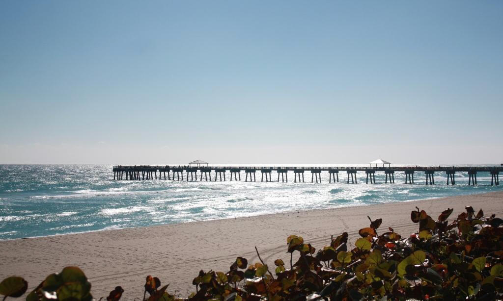 180 Freeport Drive Jupiter, FL 33458 - Photo 61 of 62 Juno Pier