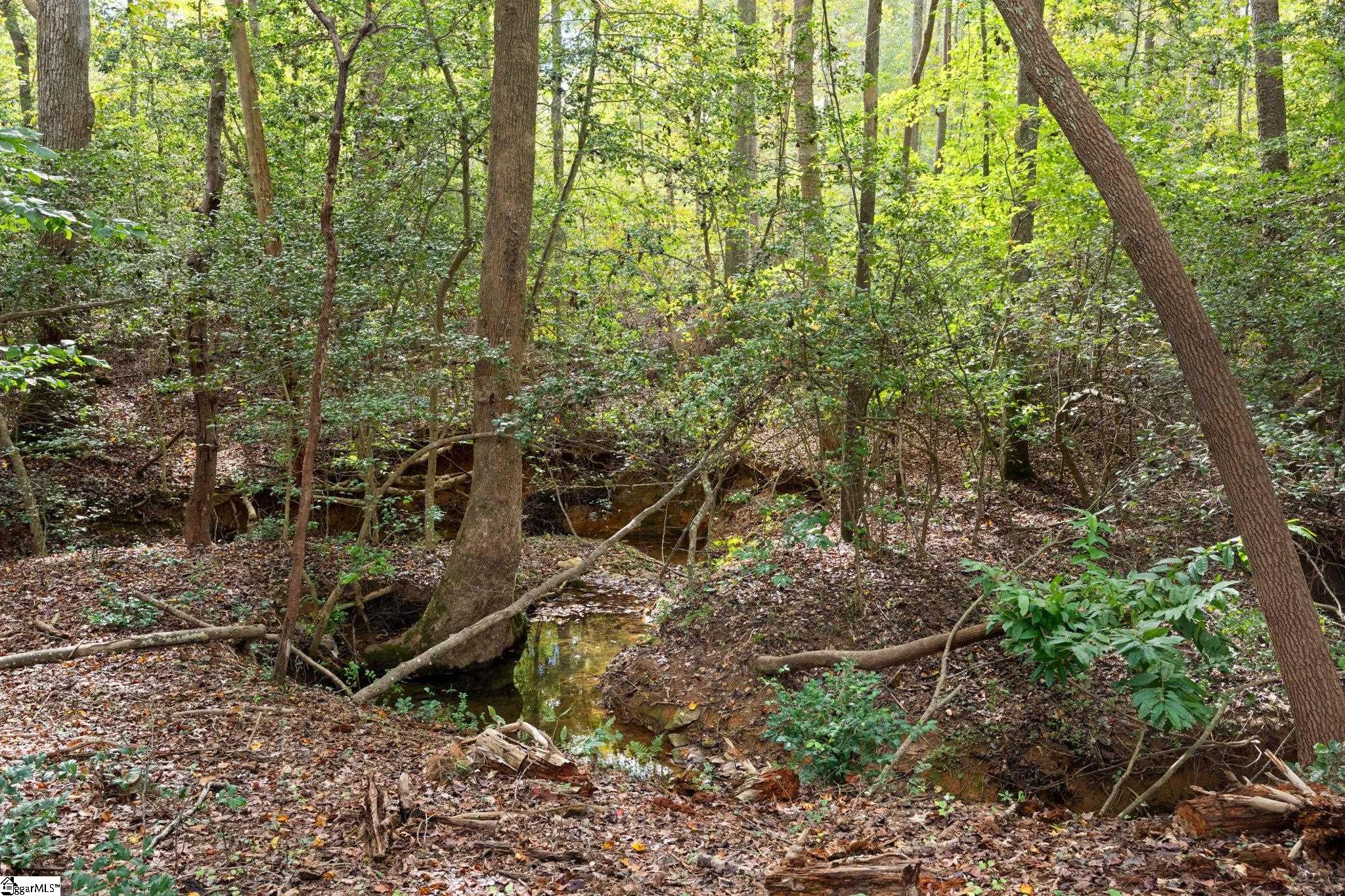 130 Kentmont Lane Greer, SC 29651 - Photo 30 of 35