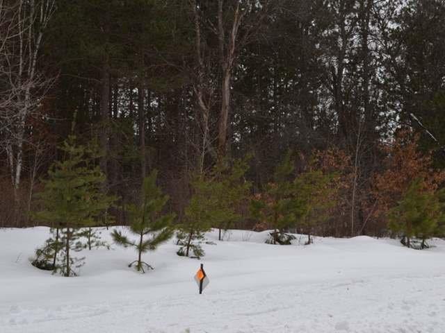 2732 Quiet Cove Road Tomahawk, WI 54487 - Photo 5 of 5 Gallery Image 5