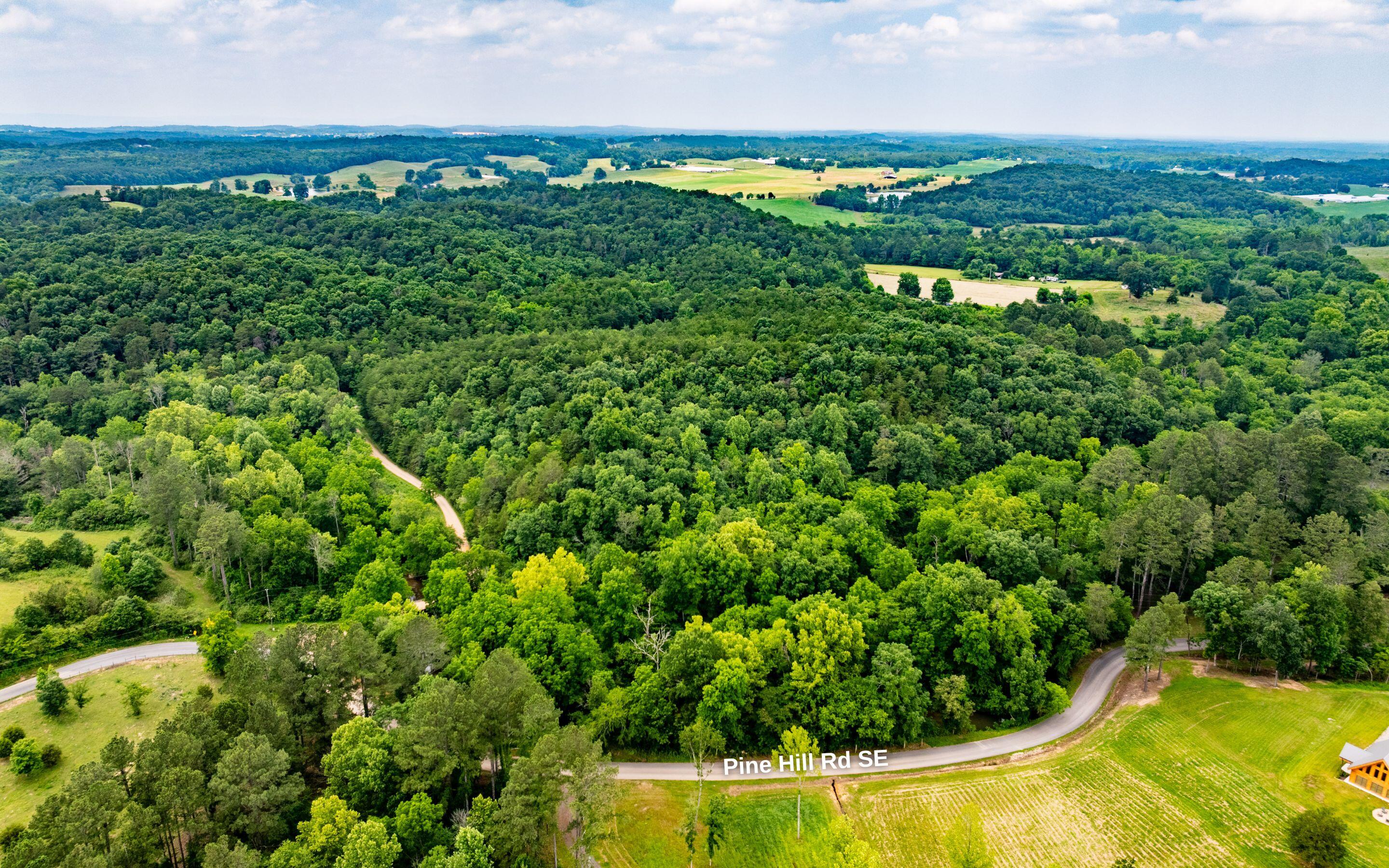 0 Pine Hill Road Southeast Rydal, GA 30171 - Photo 21 of 32 Aerial of Property