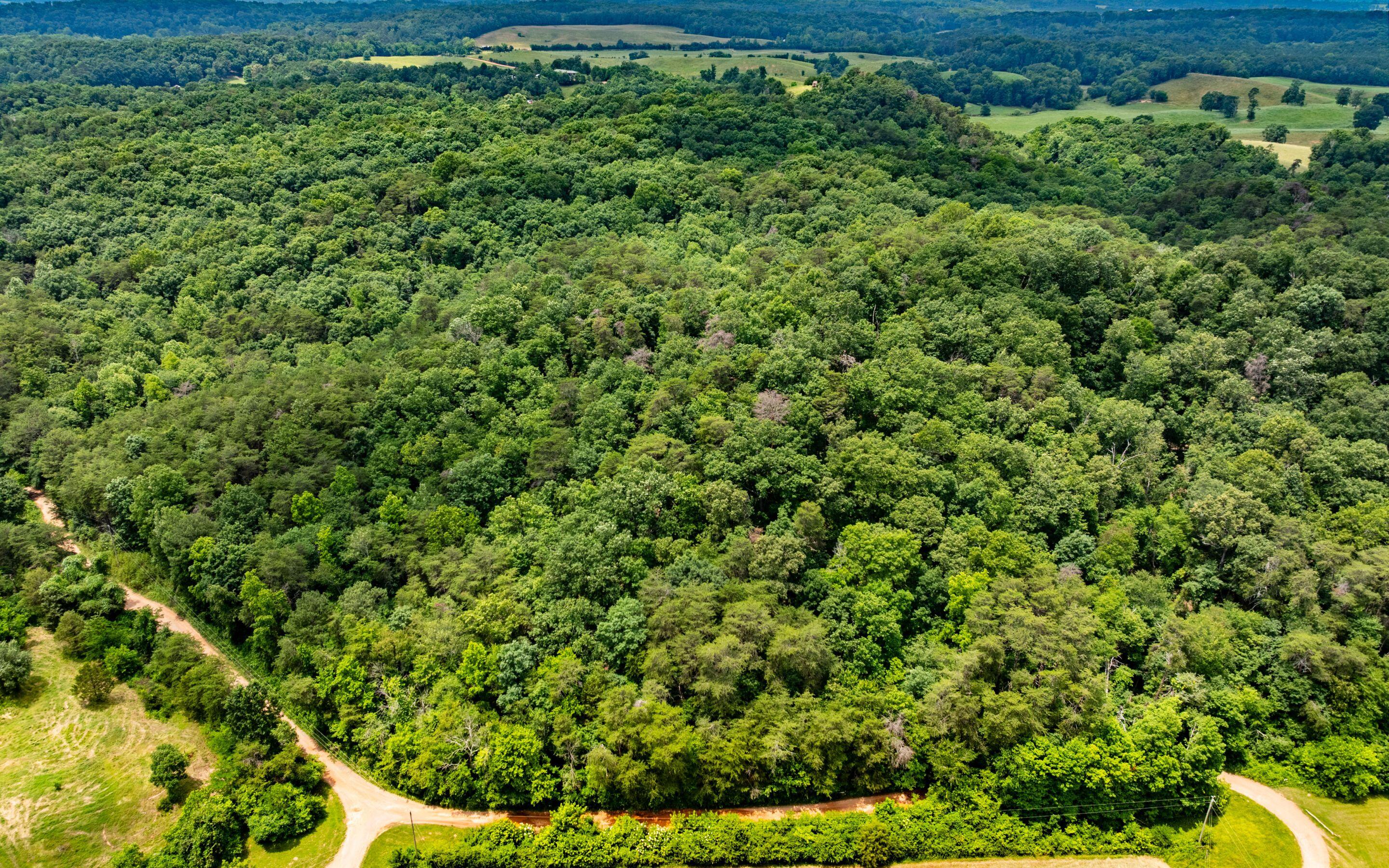 0 Pine Hill Road Southeast Rydal, GA 30171 - Photo 22 of 32 Heavily Wooded and Secluded