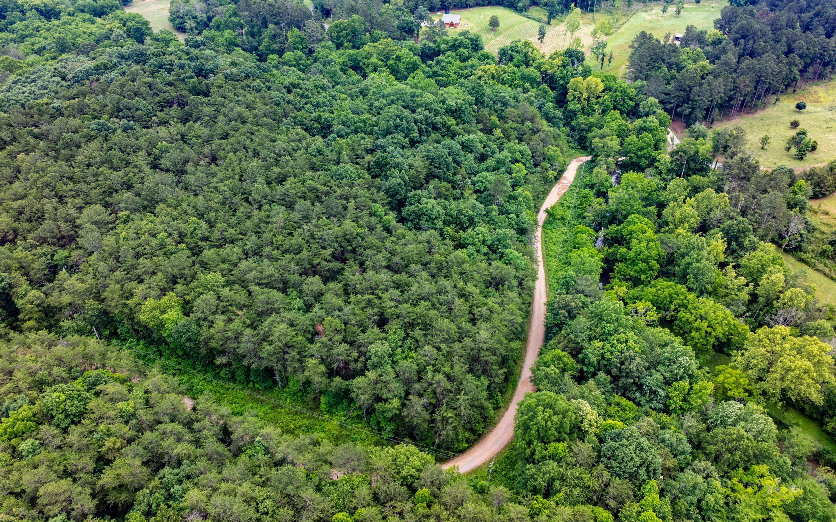 0 Pine Hill Road Southeast Rydal, GA 30171 - Photo 23 of 32 23