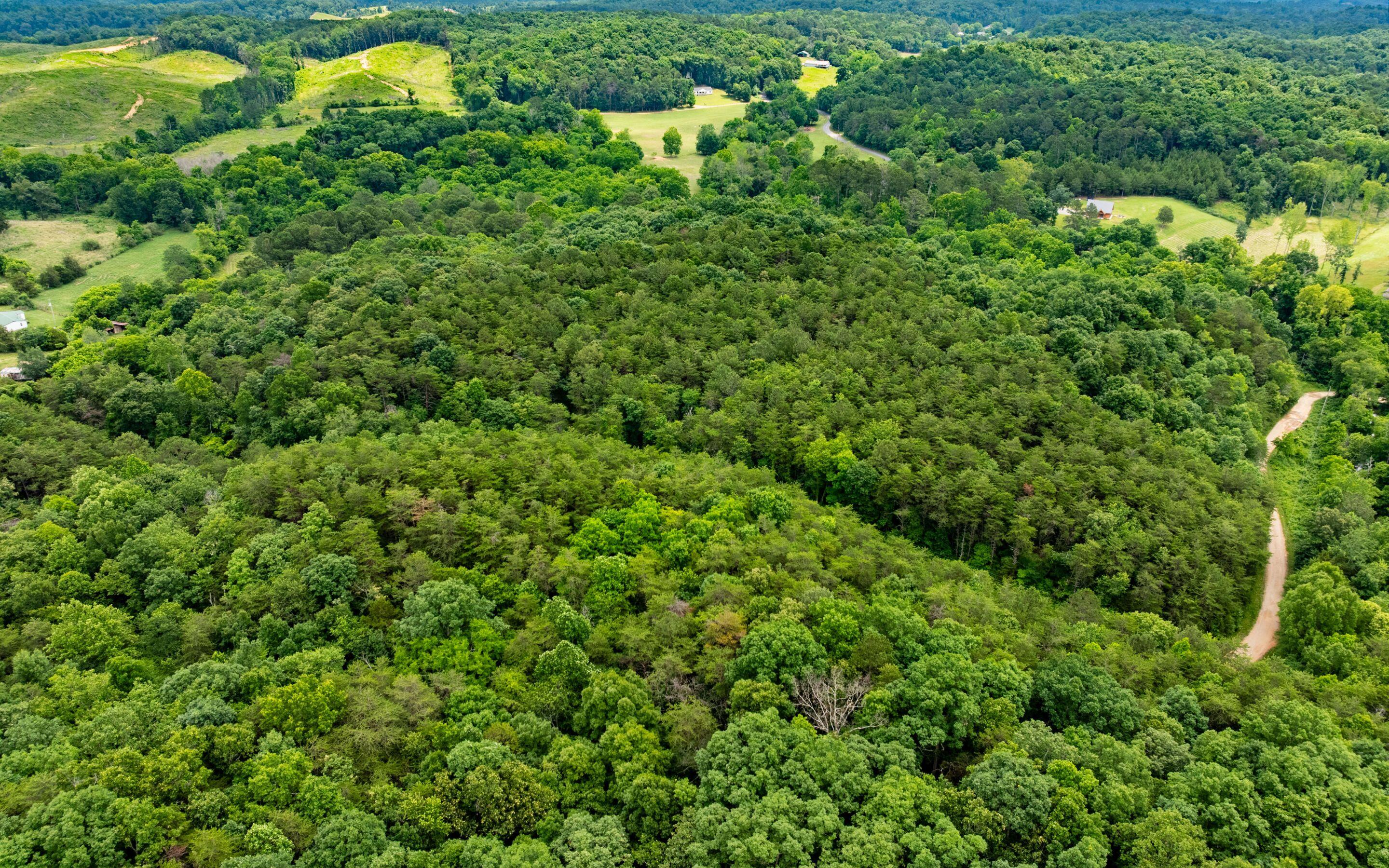 0 Pine Hill Road Southeast Rydal, GA 30171 - Photo 24 of 32 Perfect Canvas for a Homestead