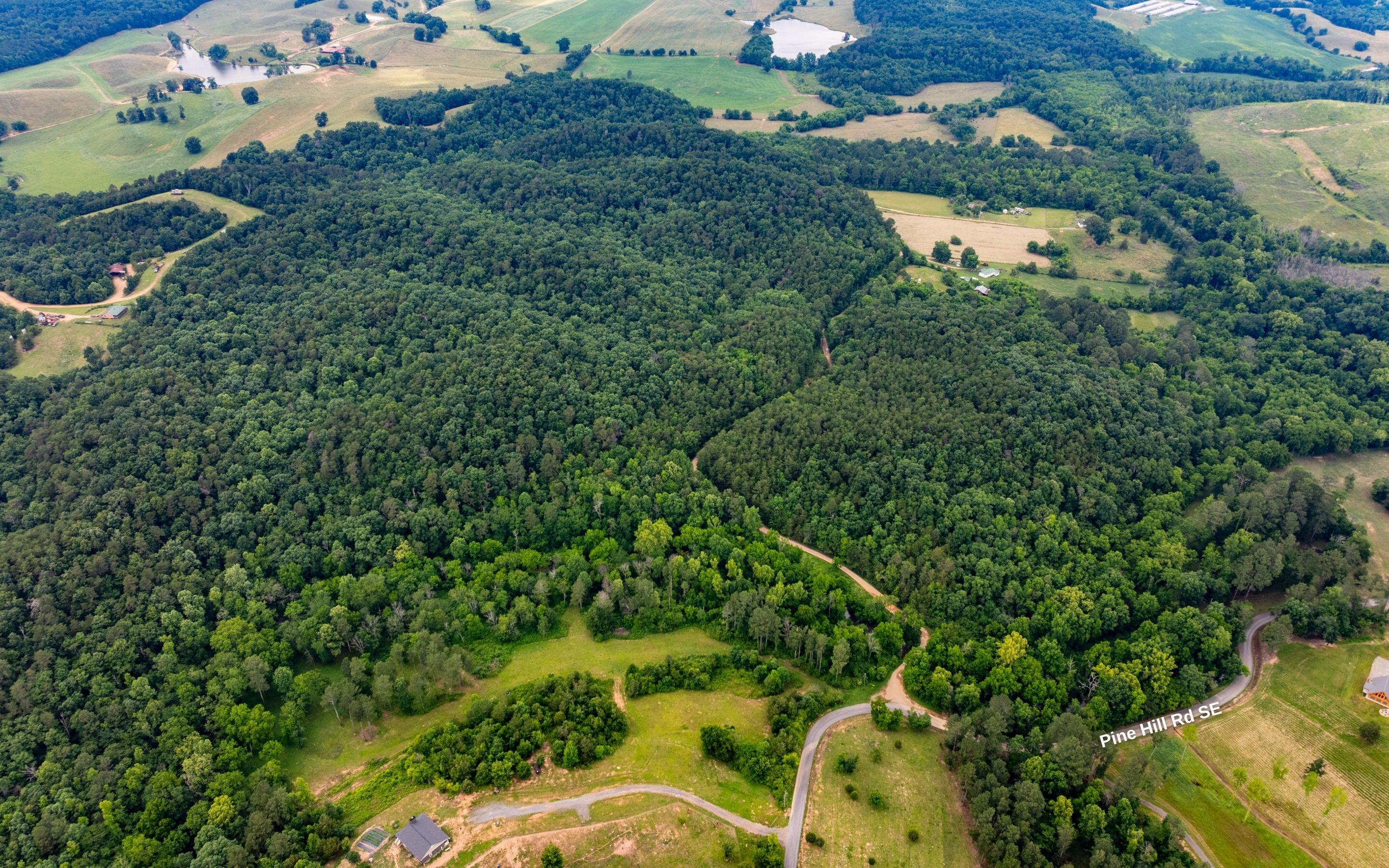 0 Pine Hill Road Southeast Rydal, GA 30171 - Photo 26 of 32 Aerial of Property
