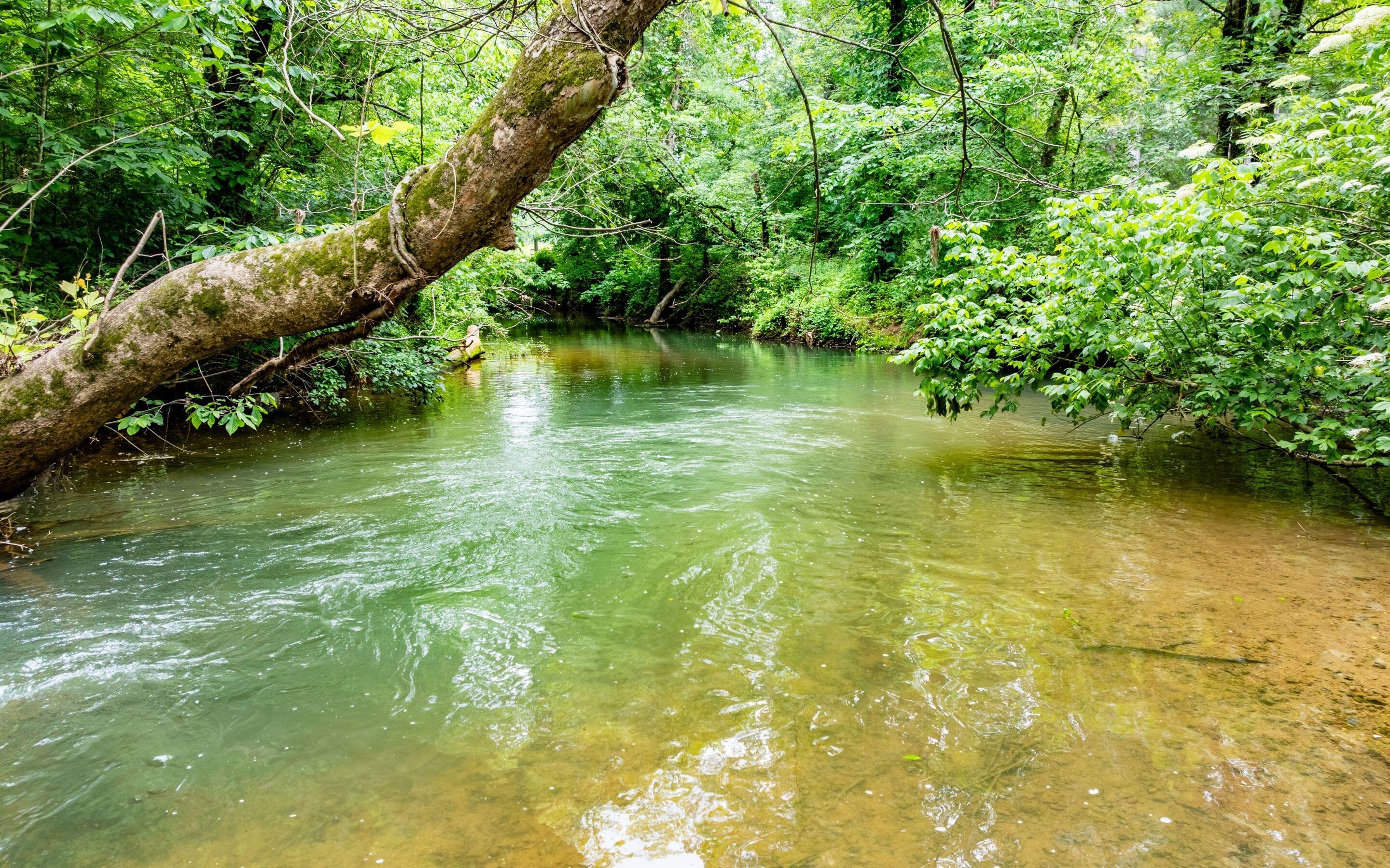 0 Pine Hill Road Southeast Rydal, GA 30171 - Photo 3 of 32 Babbling Creek
