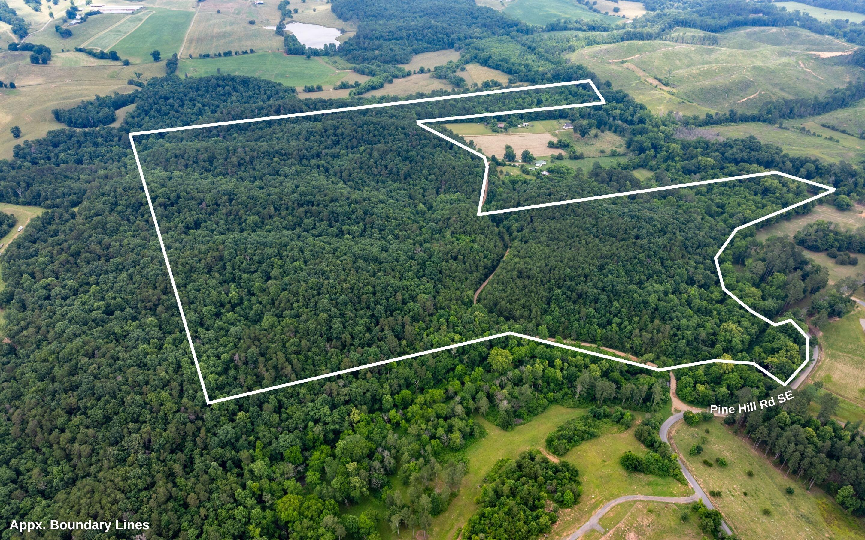 0 Pine Hill Road Southeast Rydal, GA 30171 - Photo 6 of 32 Aerial of Property Lines