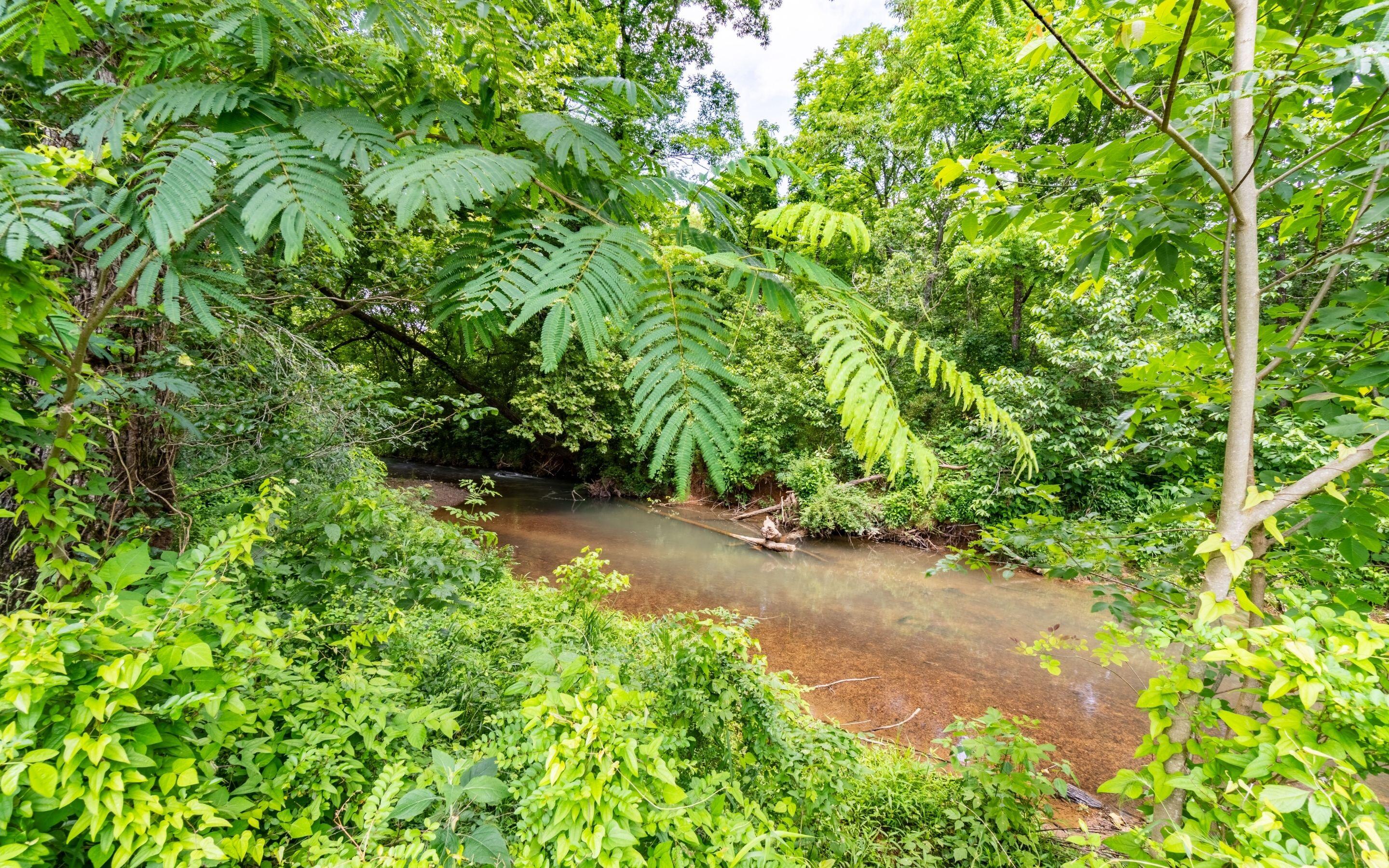 0 Pine Hill Road Southeast Rydal, GA 30171 - Photo 10 of 32 Peaceful Surroundings