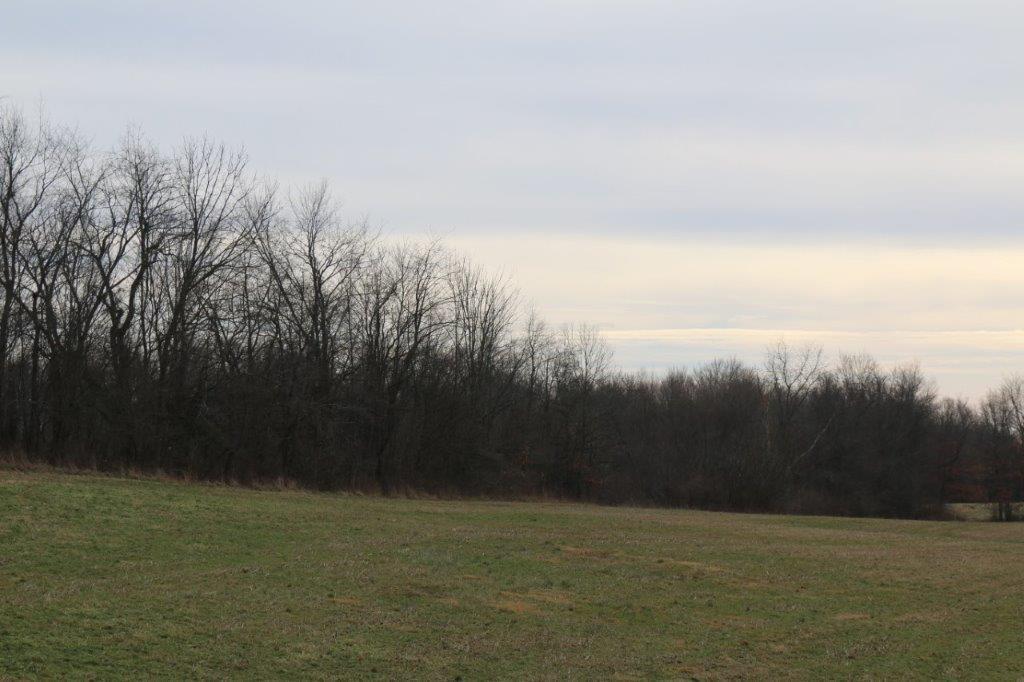 17100 Barton Road Fredericktown, OH 43019 - Photo 9 of 30 9