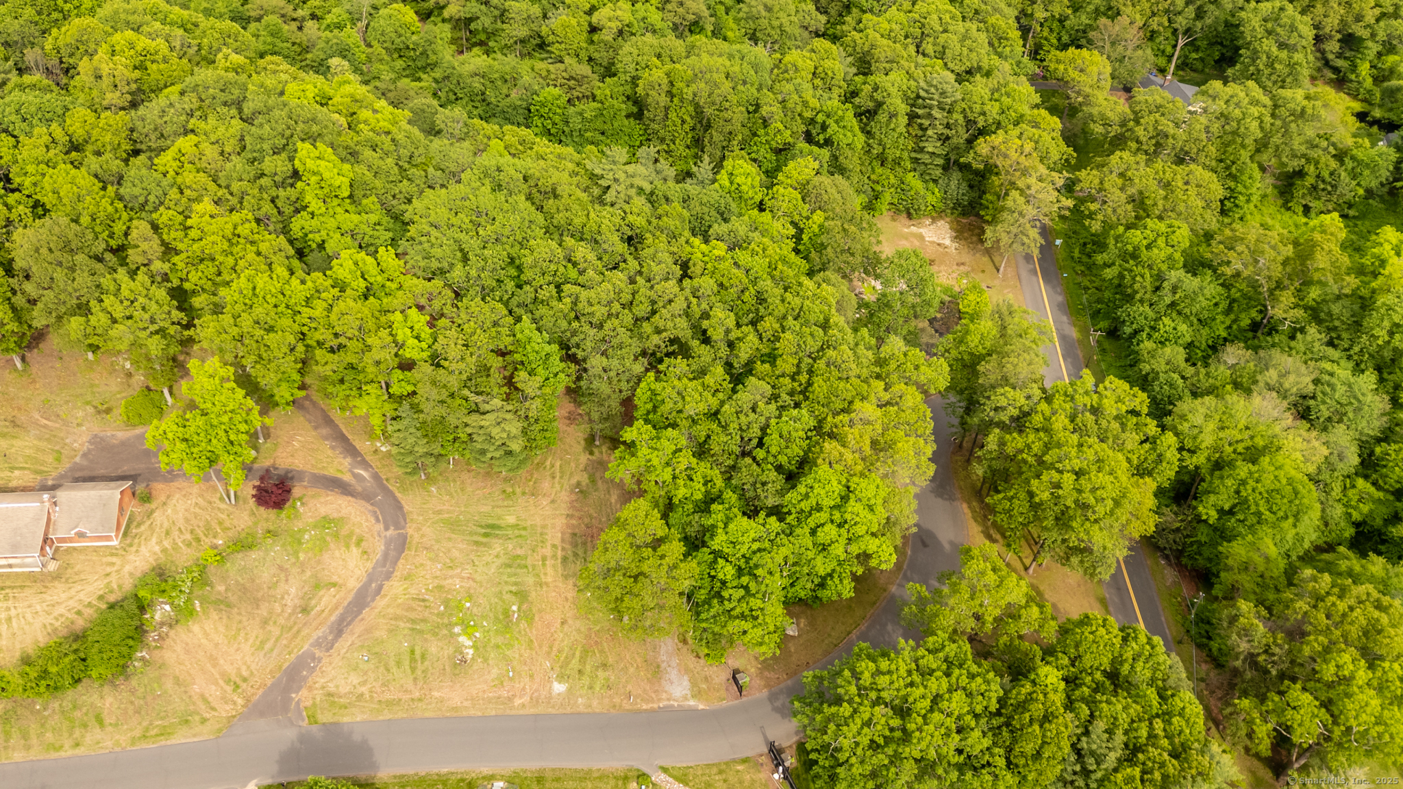 2 Setting Sun Trail Ellington, CT 06029 - Photo 5 of 7 a view of a yard with plants and large trees