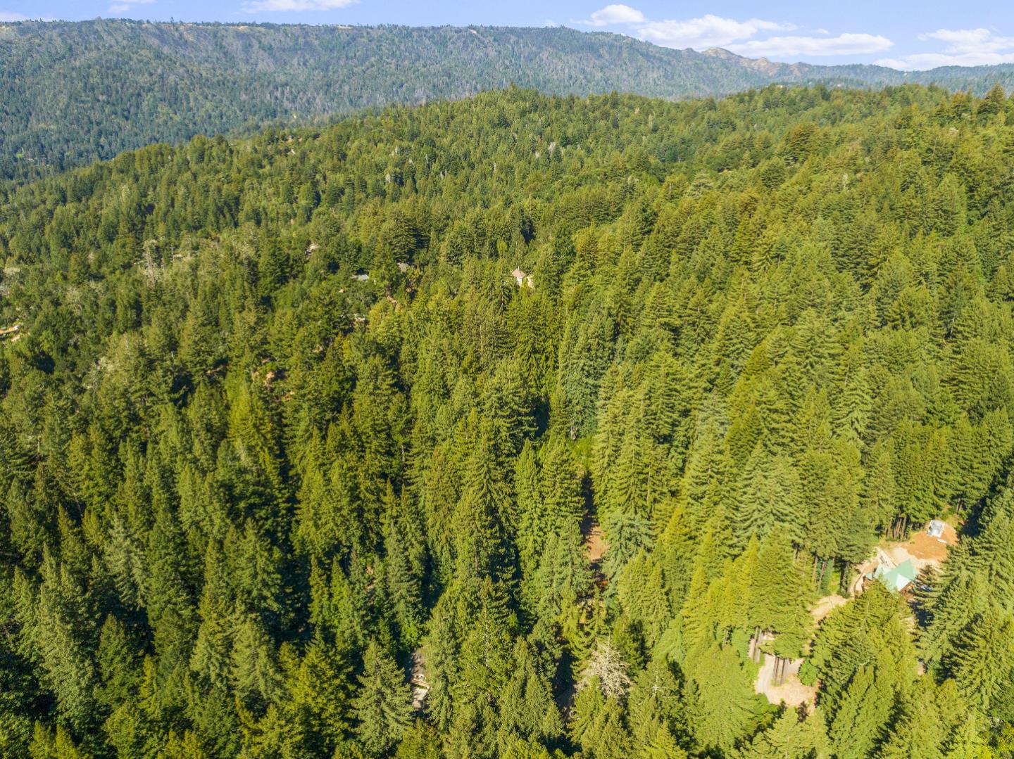 381 Hopkins Gulch Road Boulder Creek, CA 95006 - Photo 31 of 44 a view of a lush green field