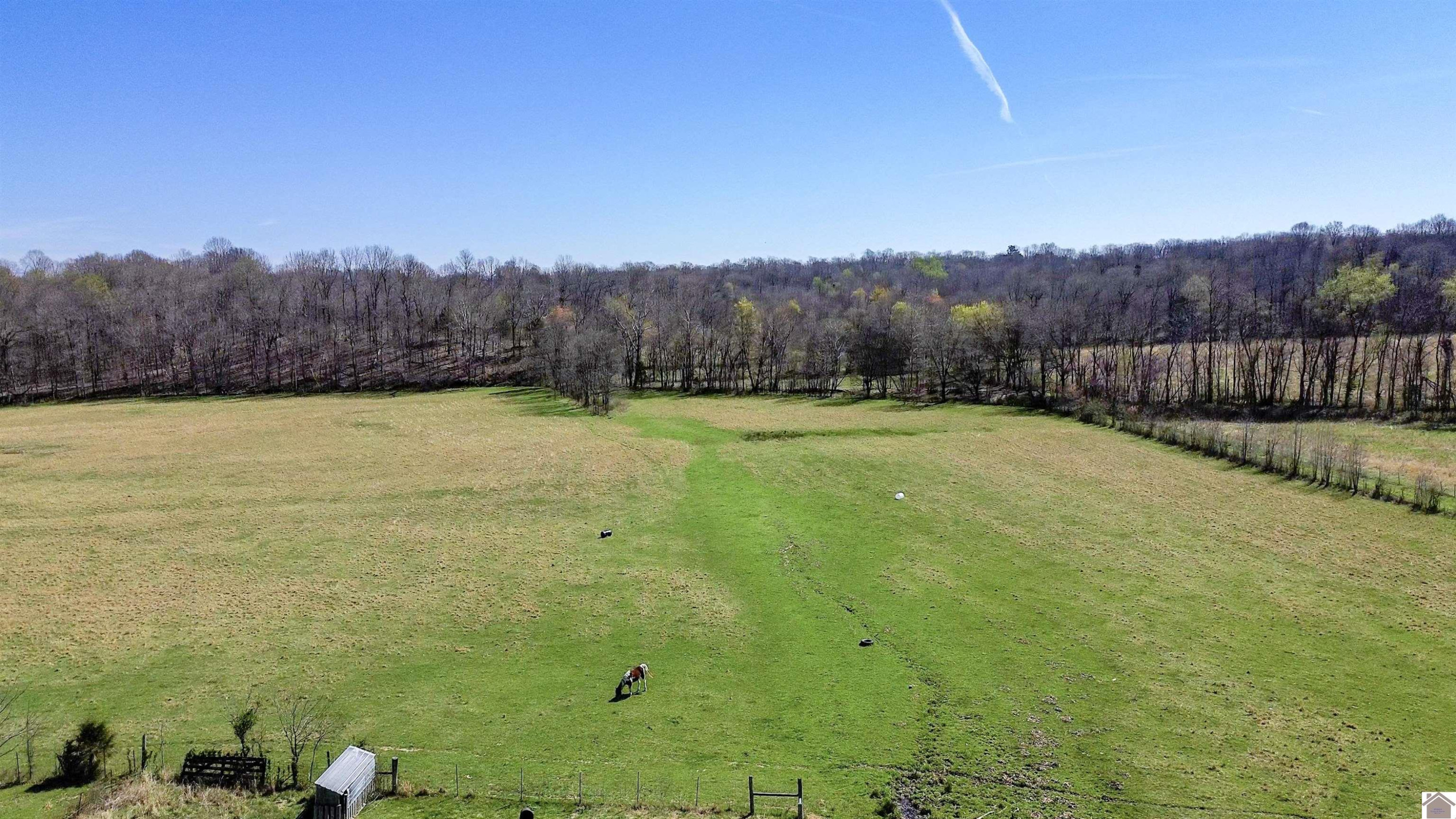996 Owen Rhea Road Tiline, KY 42083 - Photo 11 of 40 Photo 11