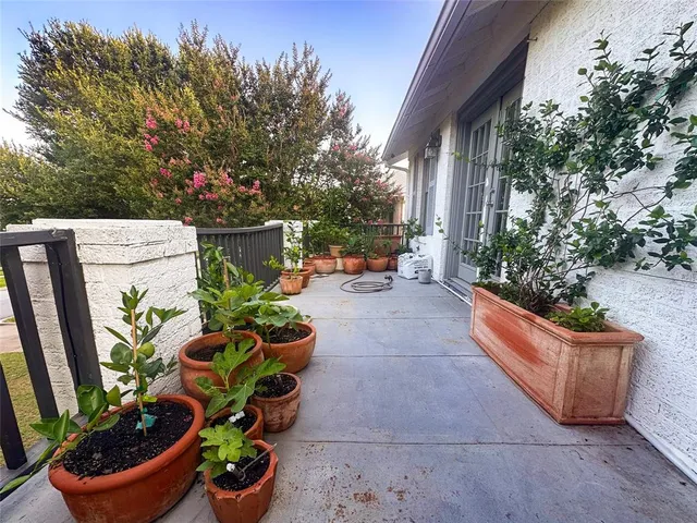 a view of a backyard with plants and chairs