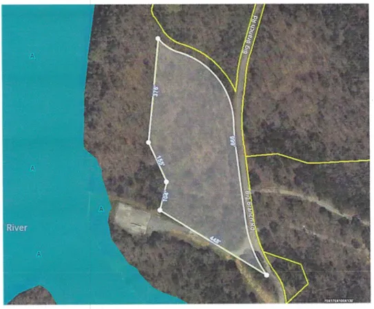 a view of a yard with plants