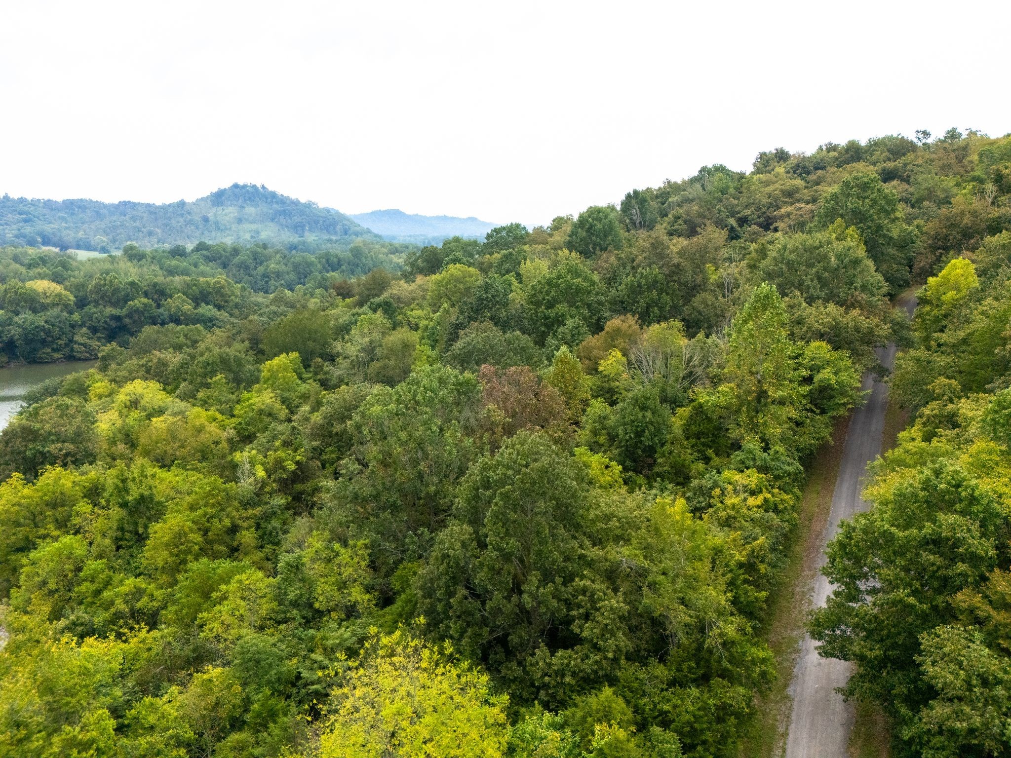 0 Big Branch Road Granville, TN 38564 - Photo 14 of 15 a view of a mountain range with trees in the background