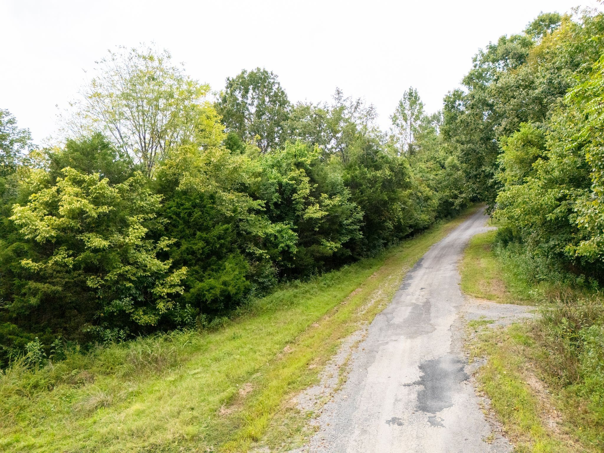 0 Big Branch Road Granville, TN 38564 - Photo 2 of 15 a view of a yard with plants