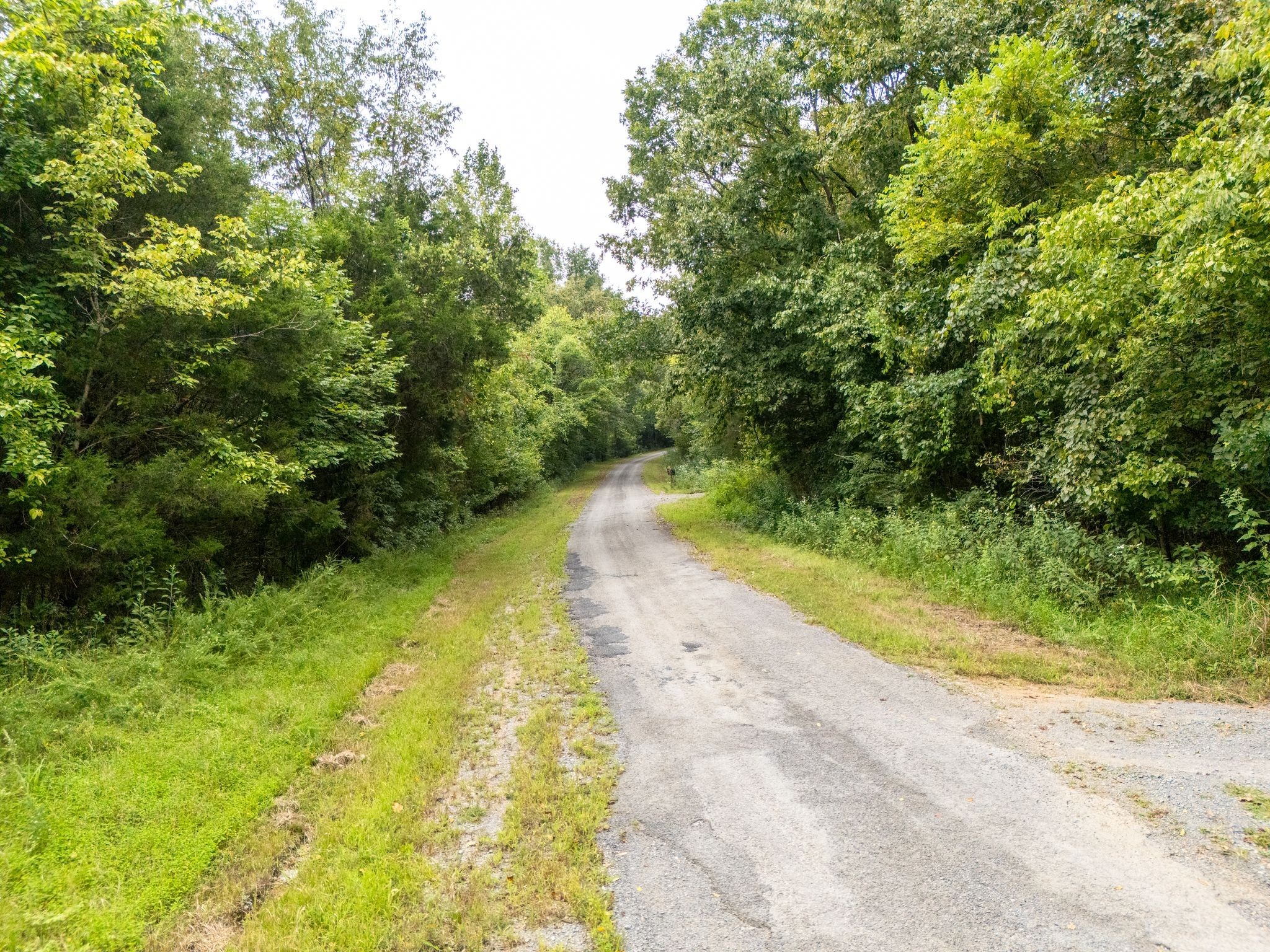 0 Big Branch Road Granville, TN 38564 - Photo 3 of 15 a view of a yard with plants