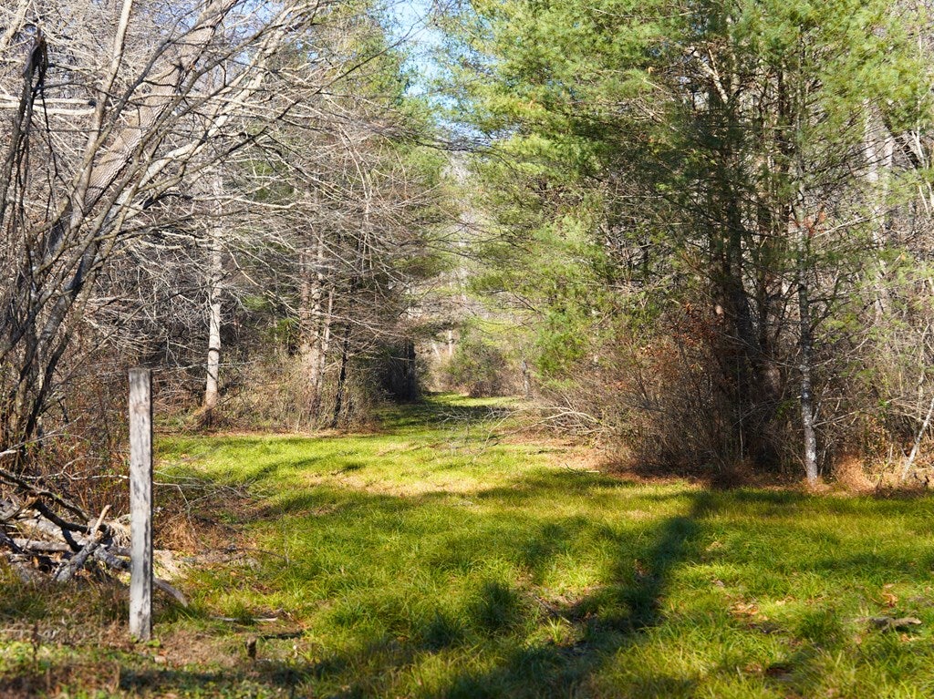 0 Pembrook Road Ferrum, VA 24088 - Photo 23 of 42 Gallery Image 23